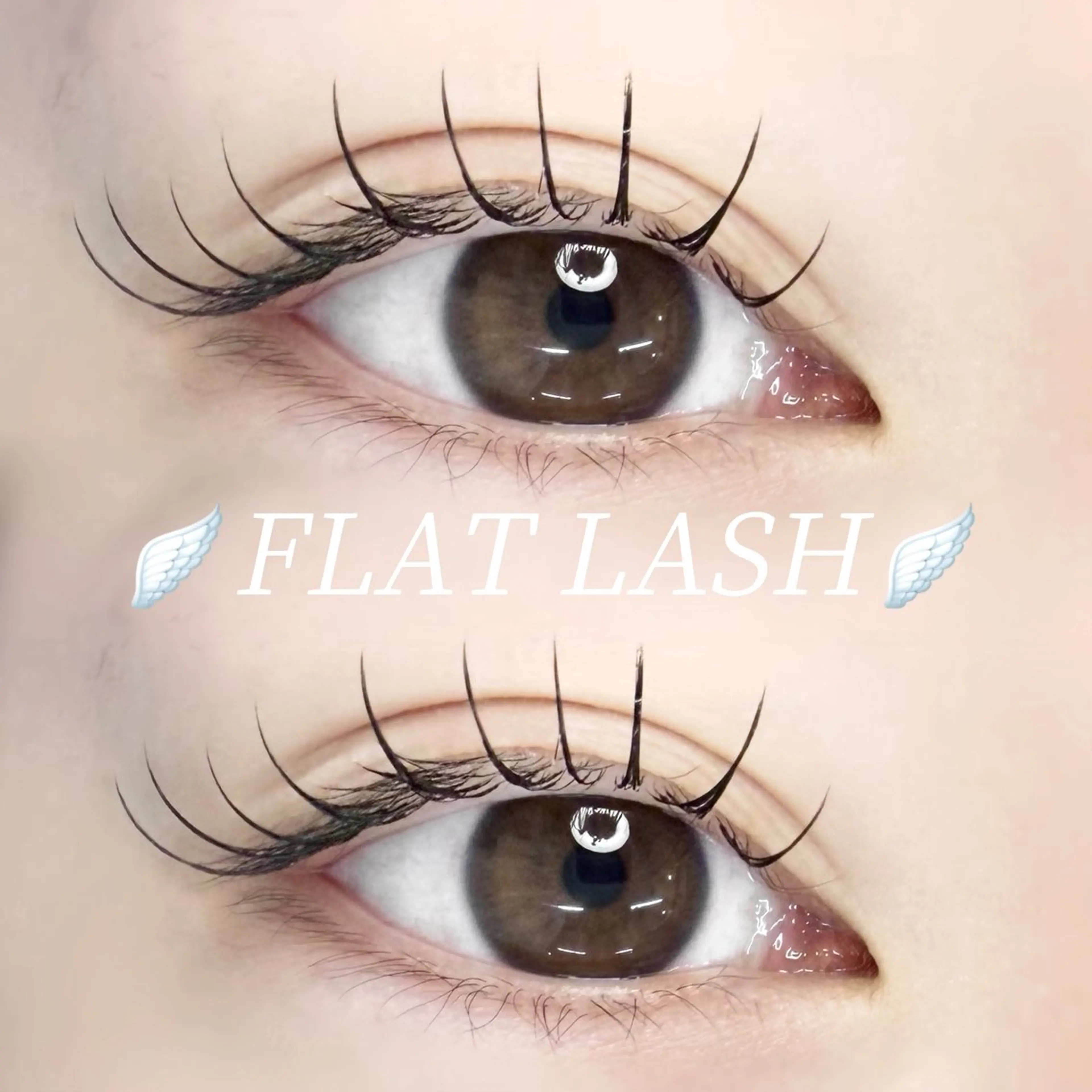 フラットラッシュ 100本【minimo限定】オフ無料の写真