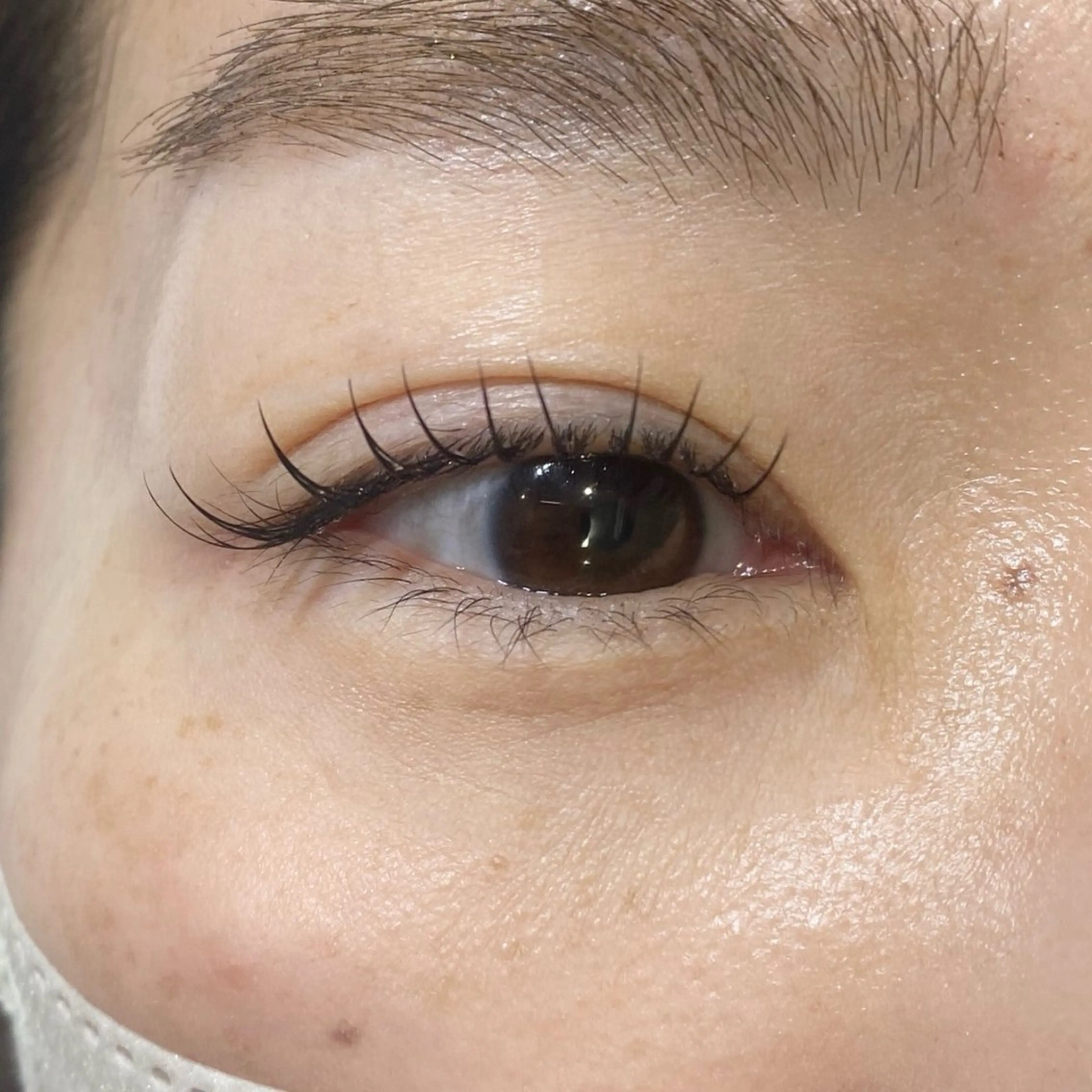 マツエク・マツパ マツエク Veil chihiroのマツエク・マツパデザイン