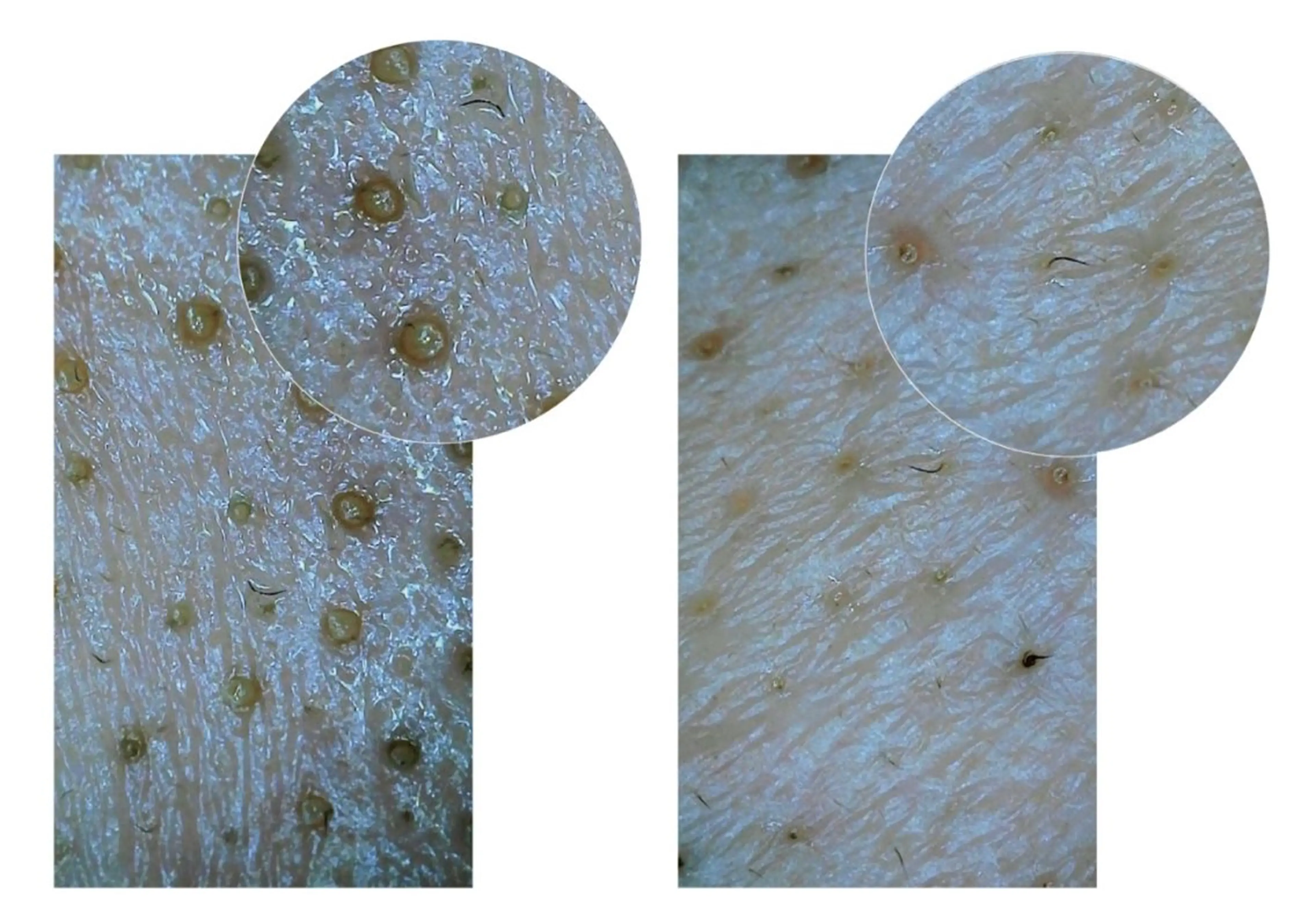 エステティックサロン Viveのエステ・リラクイメージ