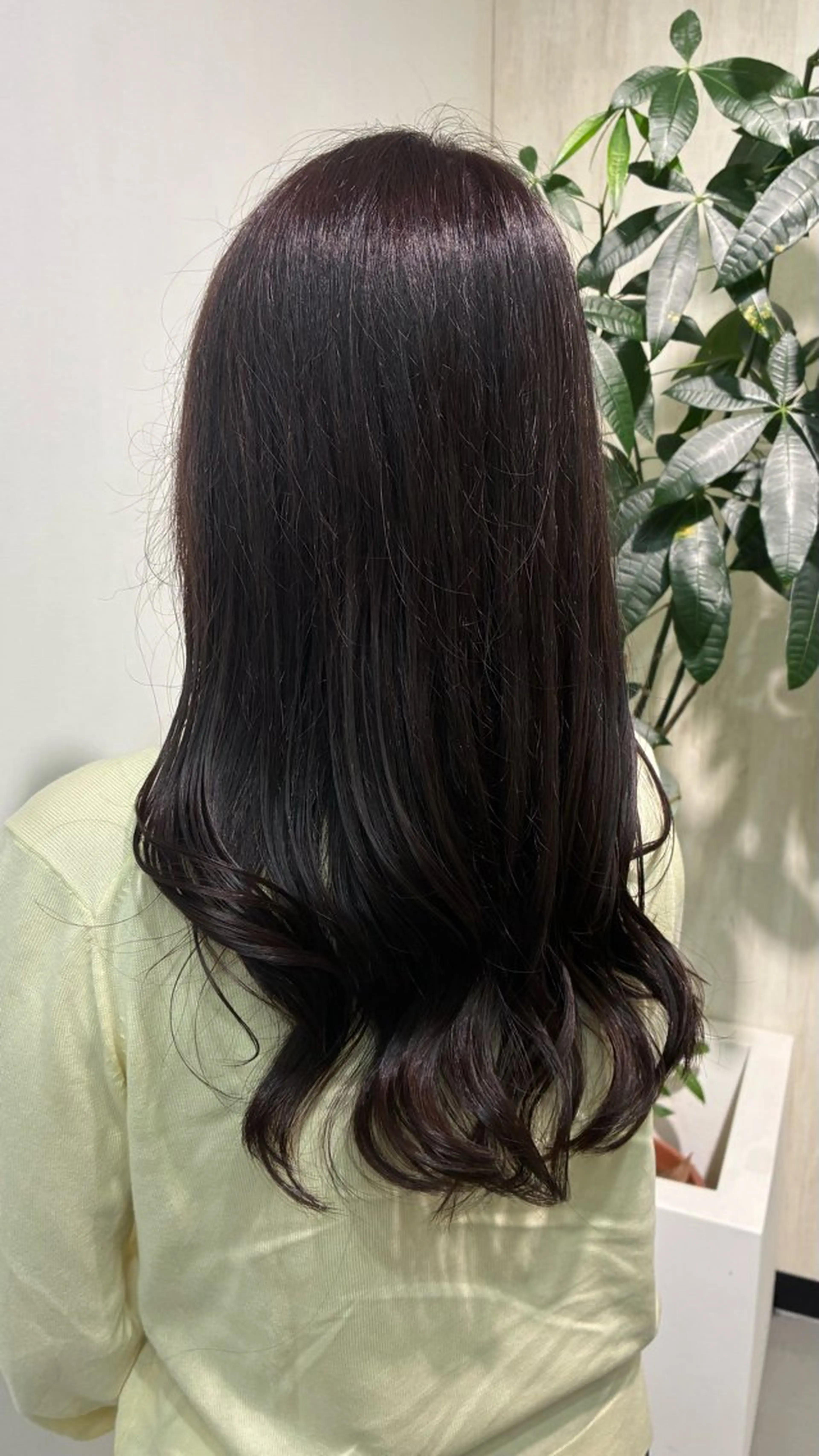 セミロング カラー ヘアアレンジ カット ヘアカラー ヘッドスパ 🌟小出　倫花🌟 艶カラー／カットのヘアスタイル