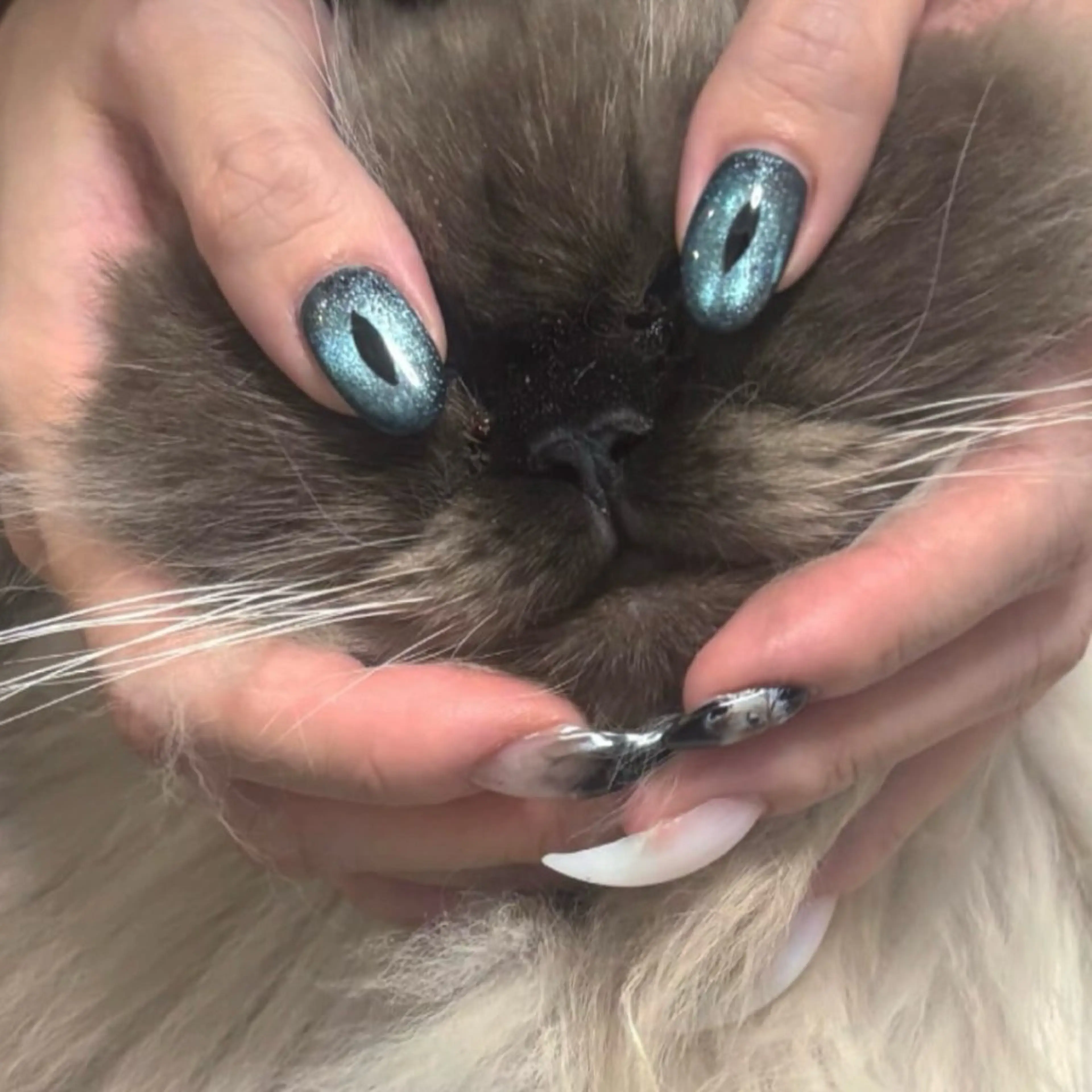 ネイル つめノ さきのネイルデザイン