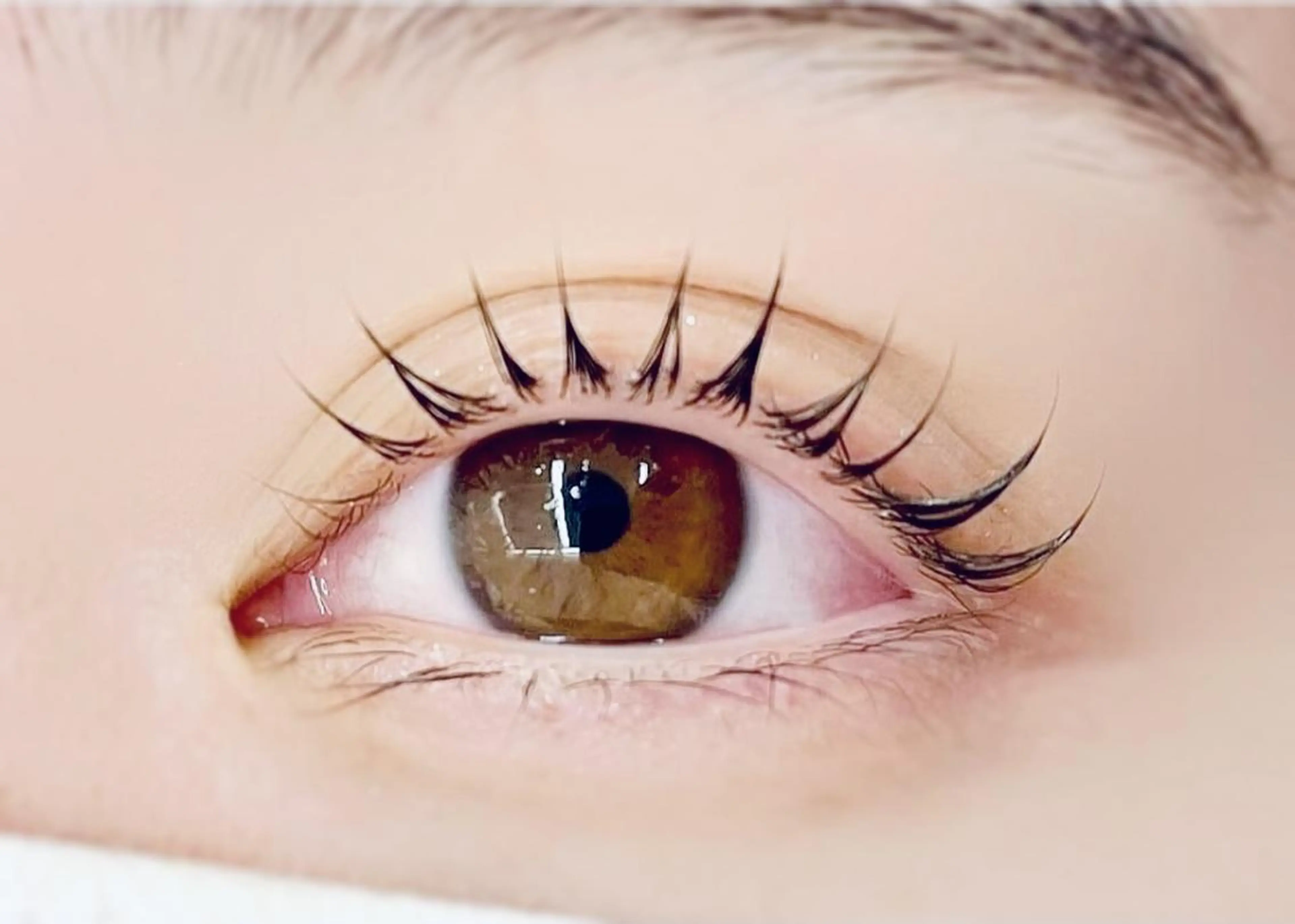 マツエク・マツパ T'enet  のマツエク・マツパデザイン