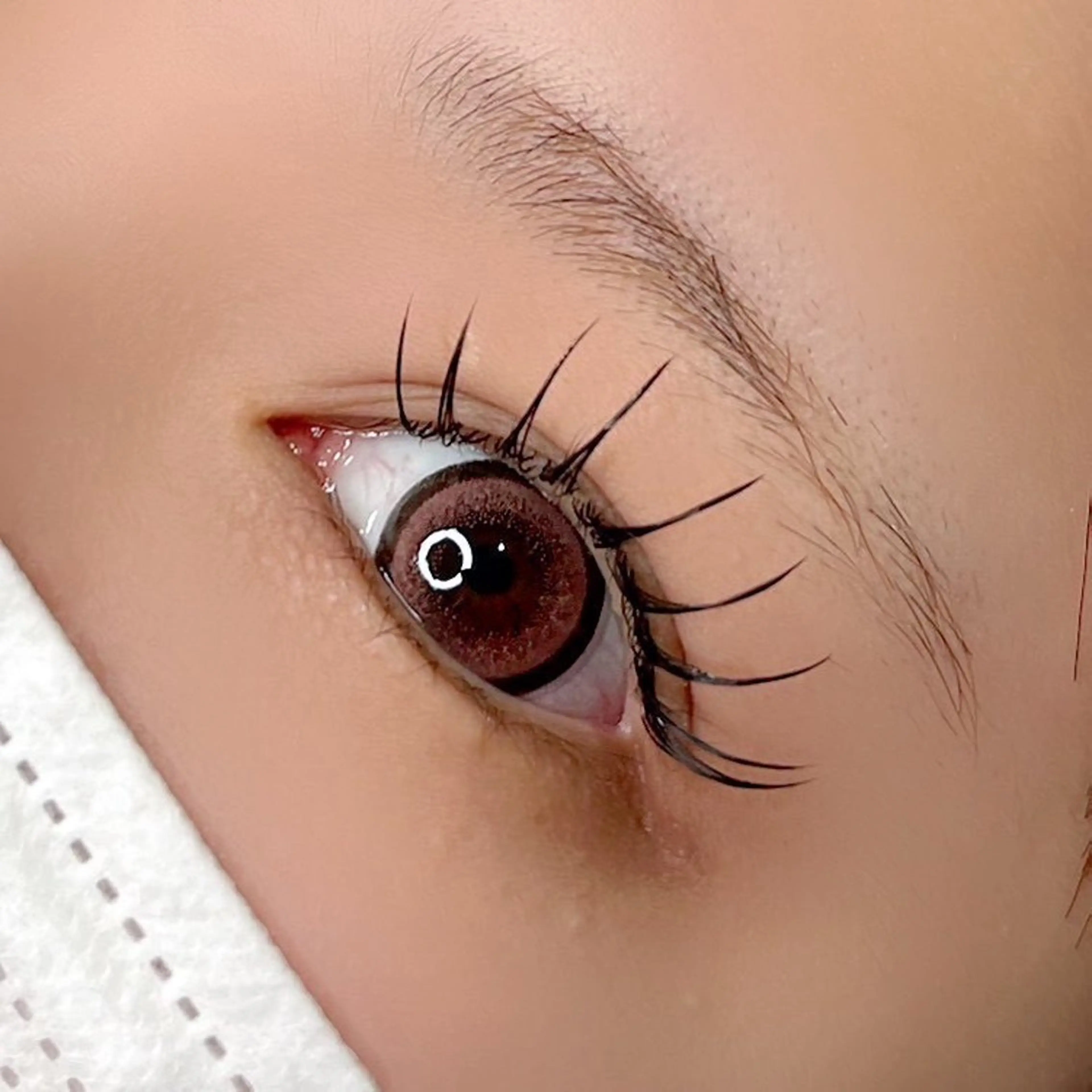 マツエク・マツパ バインドロック CCカール Cカール Dカール フラットラッシュ Luo Silque ★のマツエク・マツパデザイン