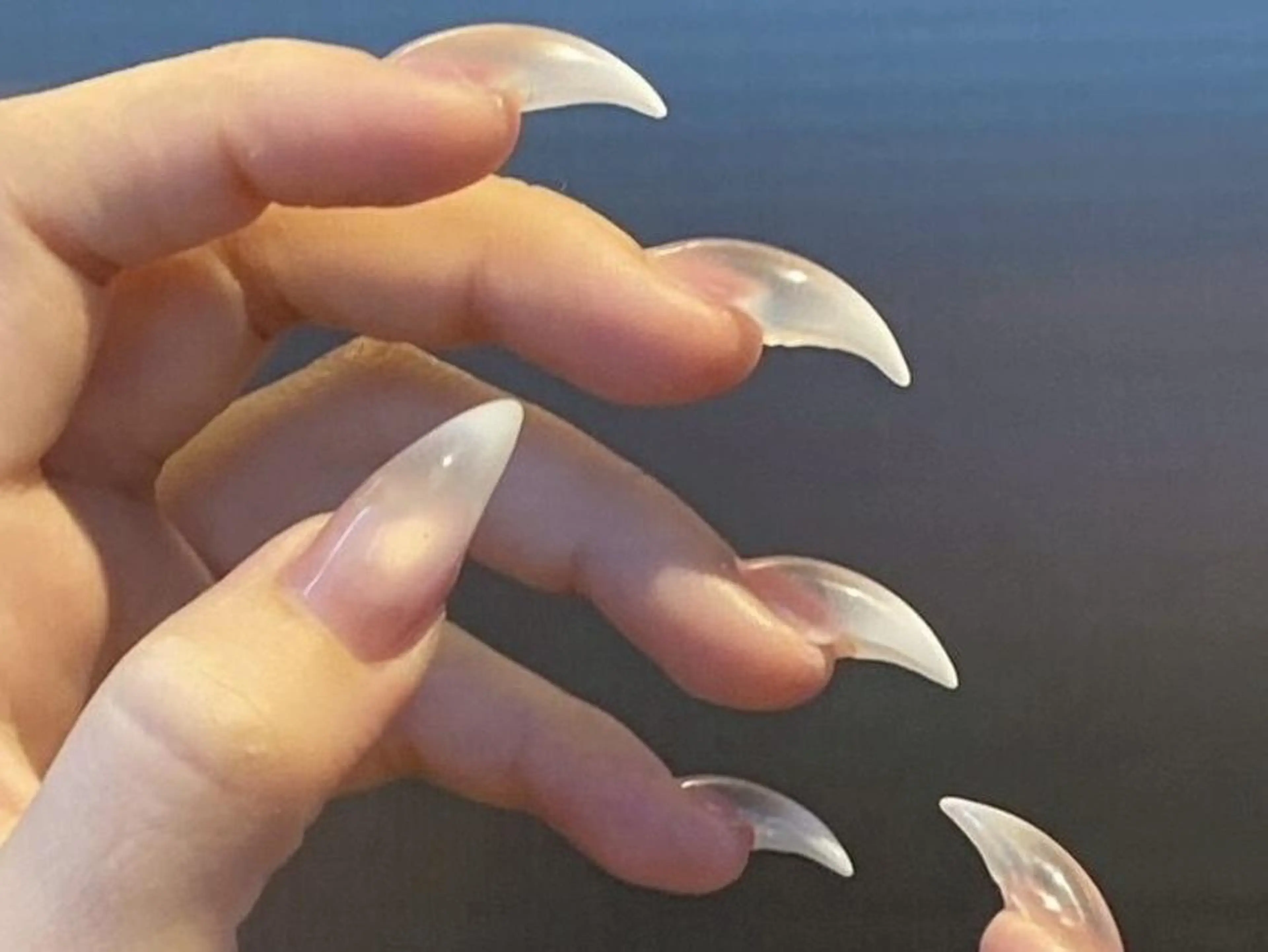 【オフなし】猫爪ネイル🐈⬛ワンカラー/マグネット/ラメの写真