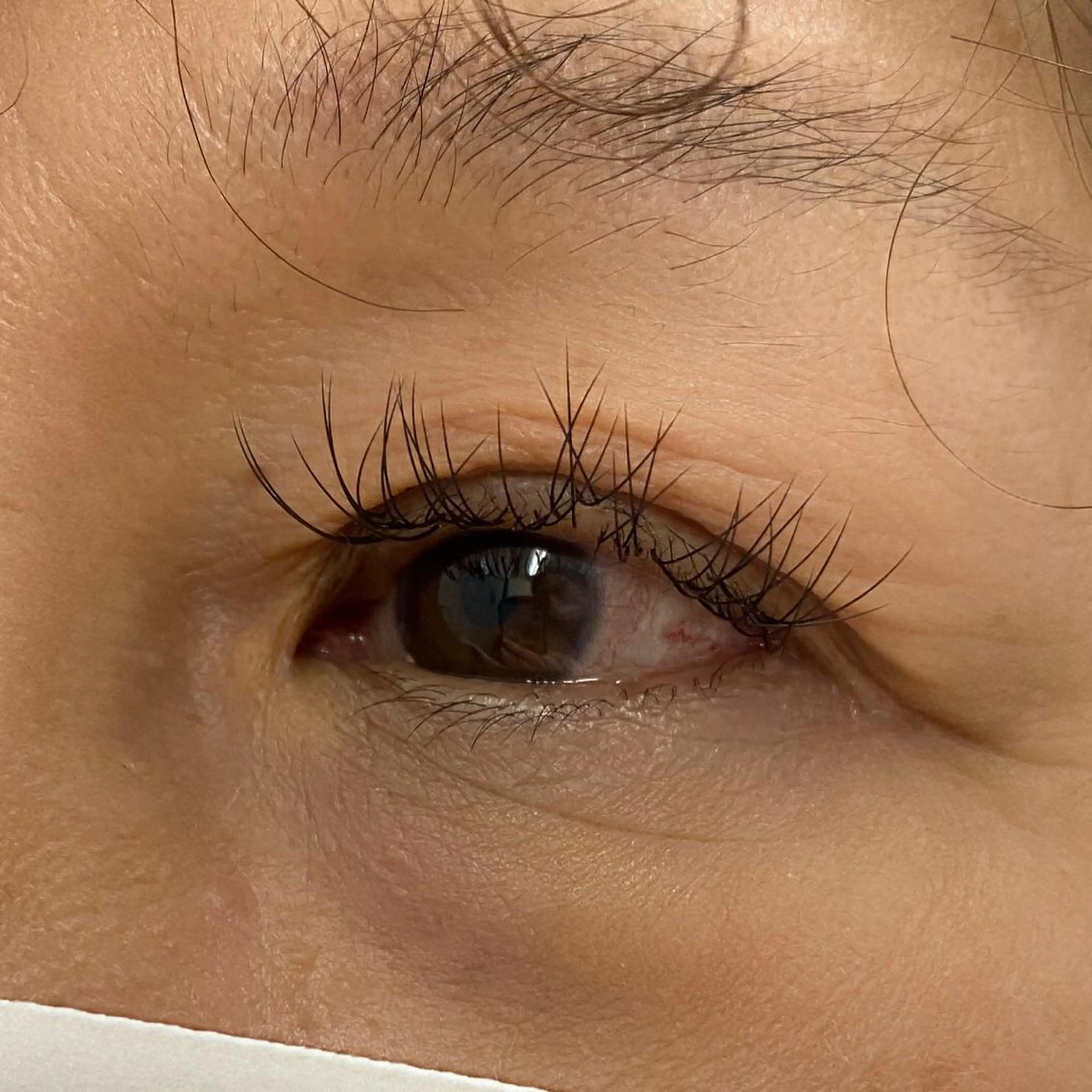 マツエク・マツパ Cカール Miyu🦄ash メンズカット/まつげのヘアスタイル