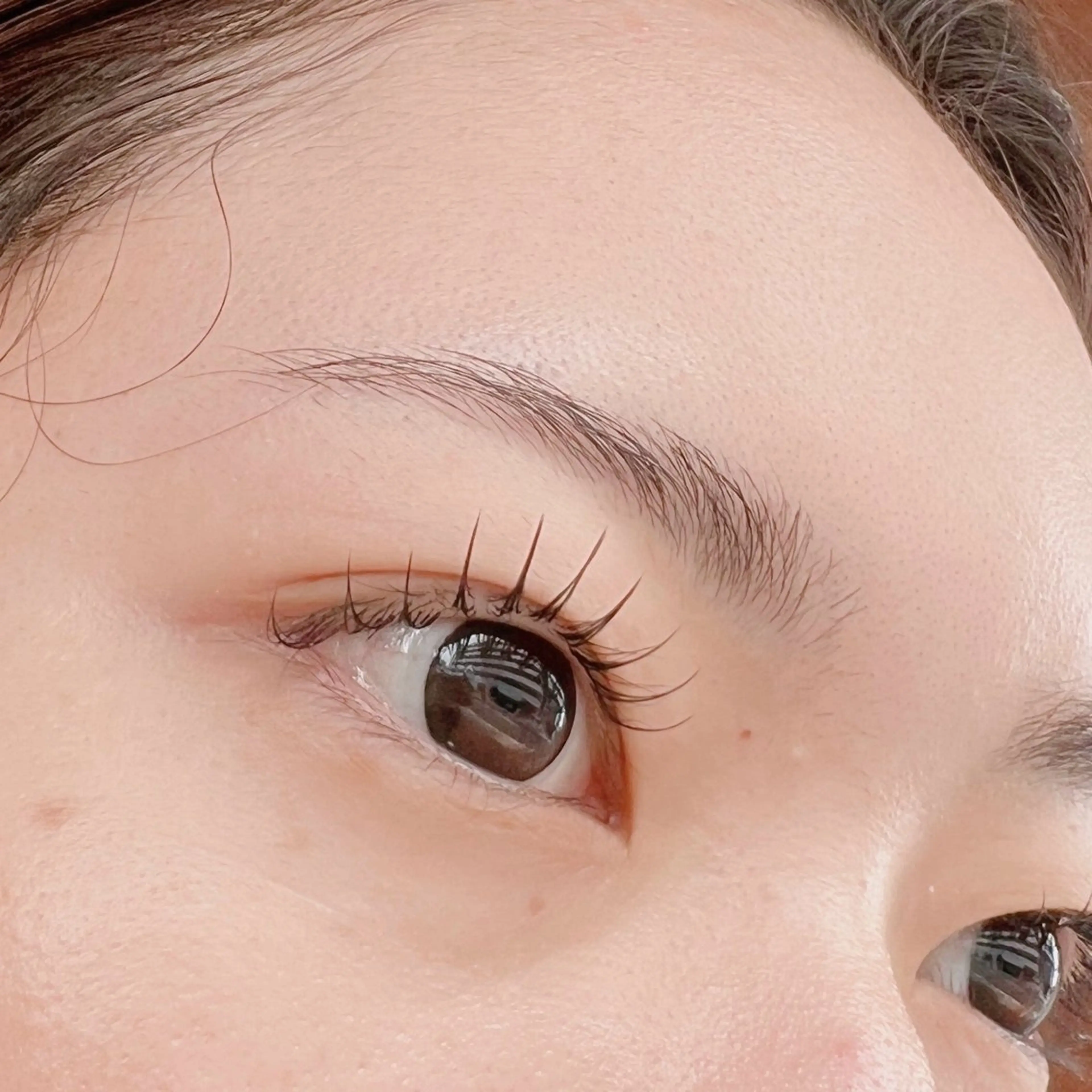 【ミニモ限定割引価格🍊】セーブル80本¥4550/フラットラッシュ¥5100/付け替えオフ+¥550の写真