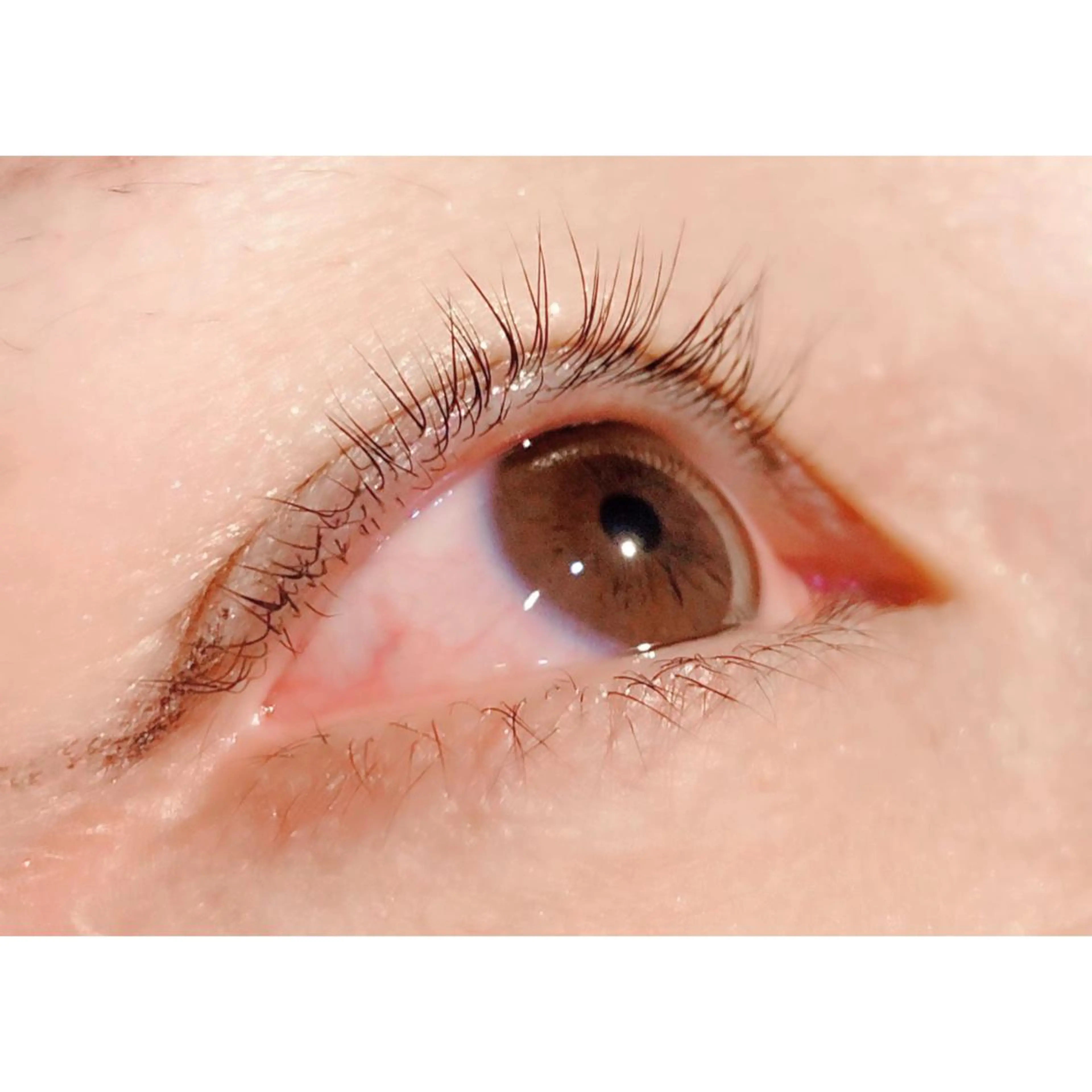 マツエク・マツパ パリジェンヌラッシュリフト Bianca 長津田店　長牛の眉毛・アイブロウイメージ