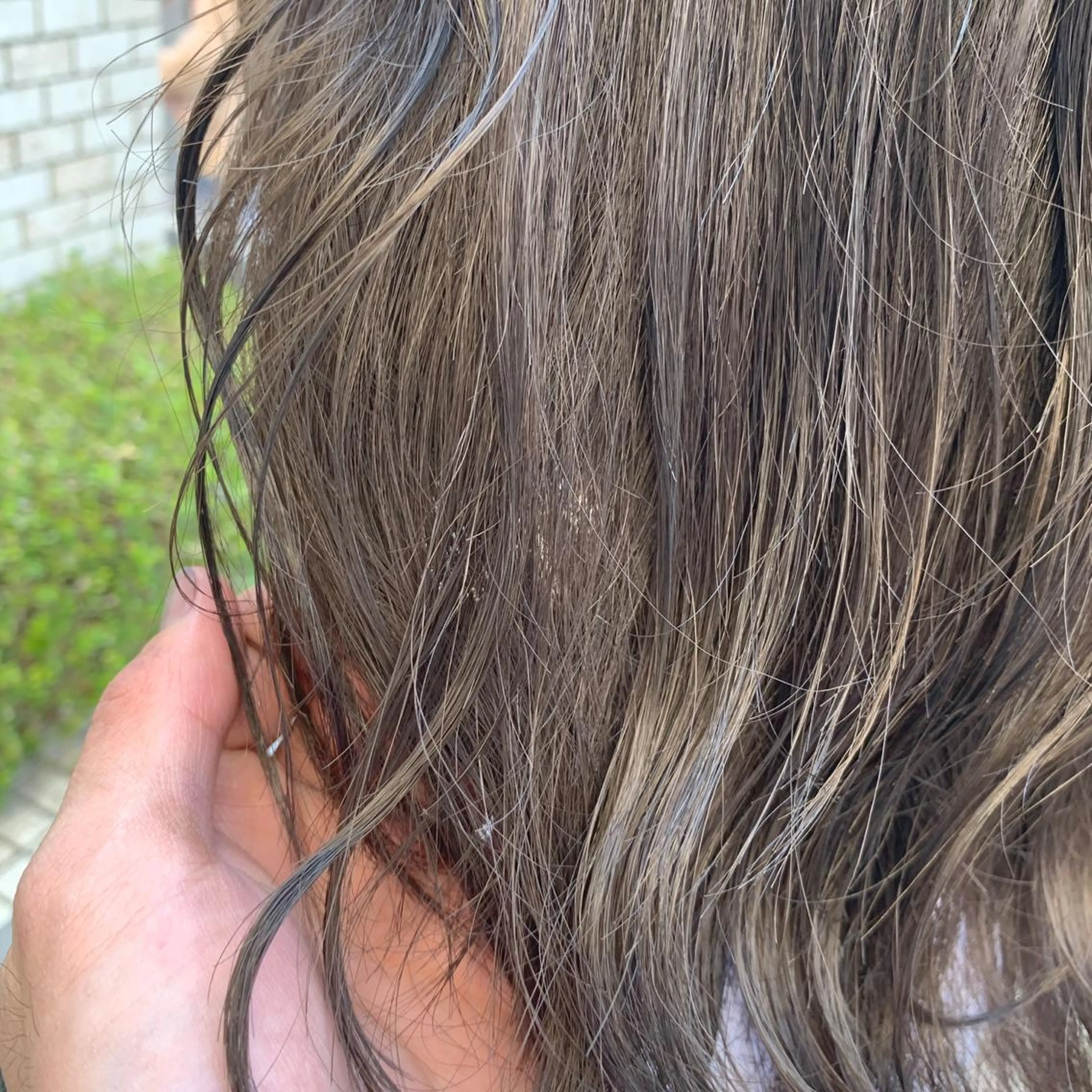 カラー 四ッ井 翔のヘアスタイル