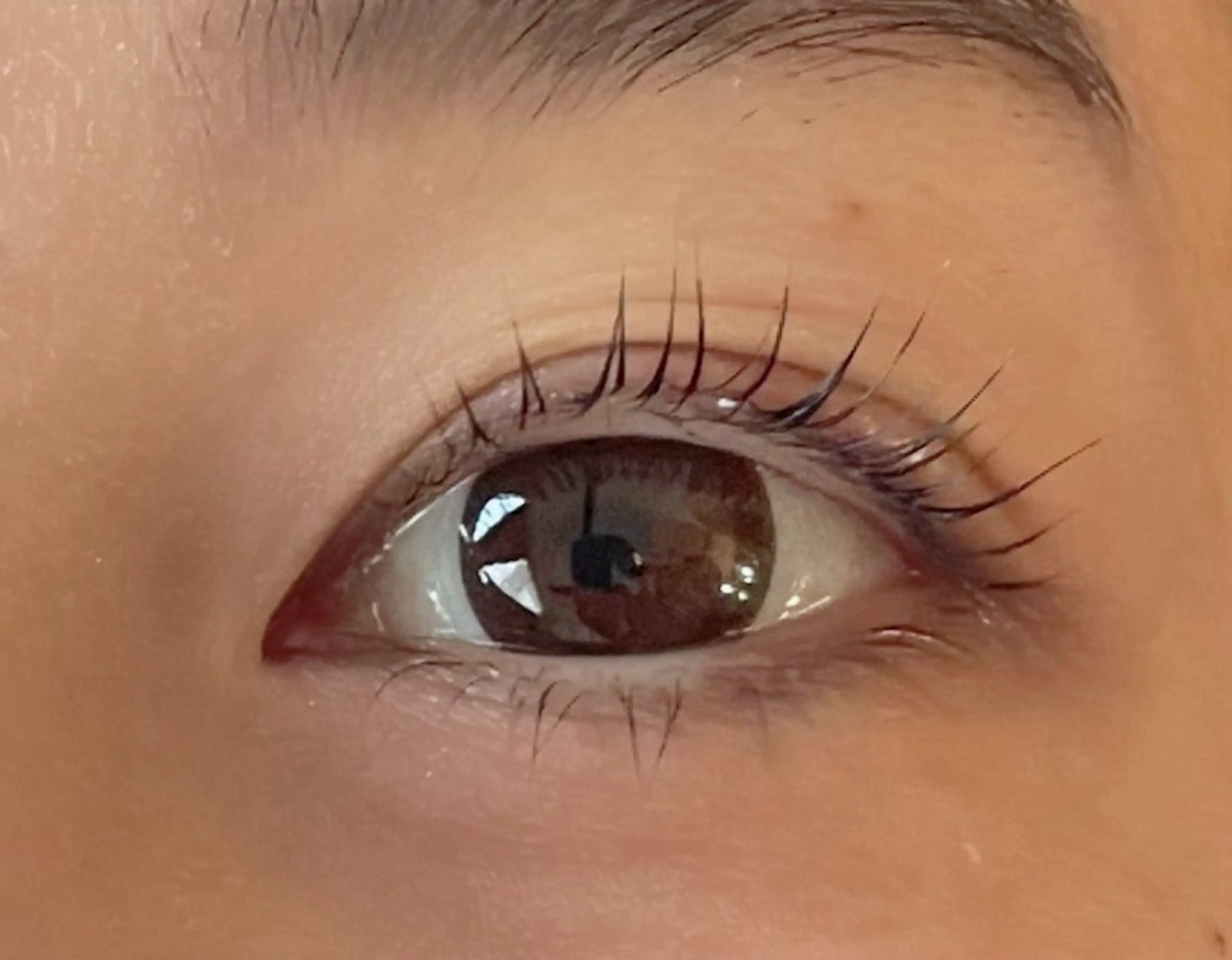 パリジェンヌラッシュリフト　アイシャンプーとトリートメントケアコーティング付きの写真