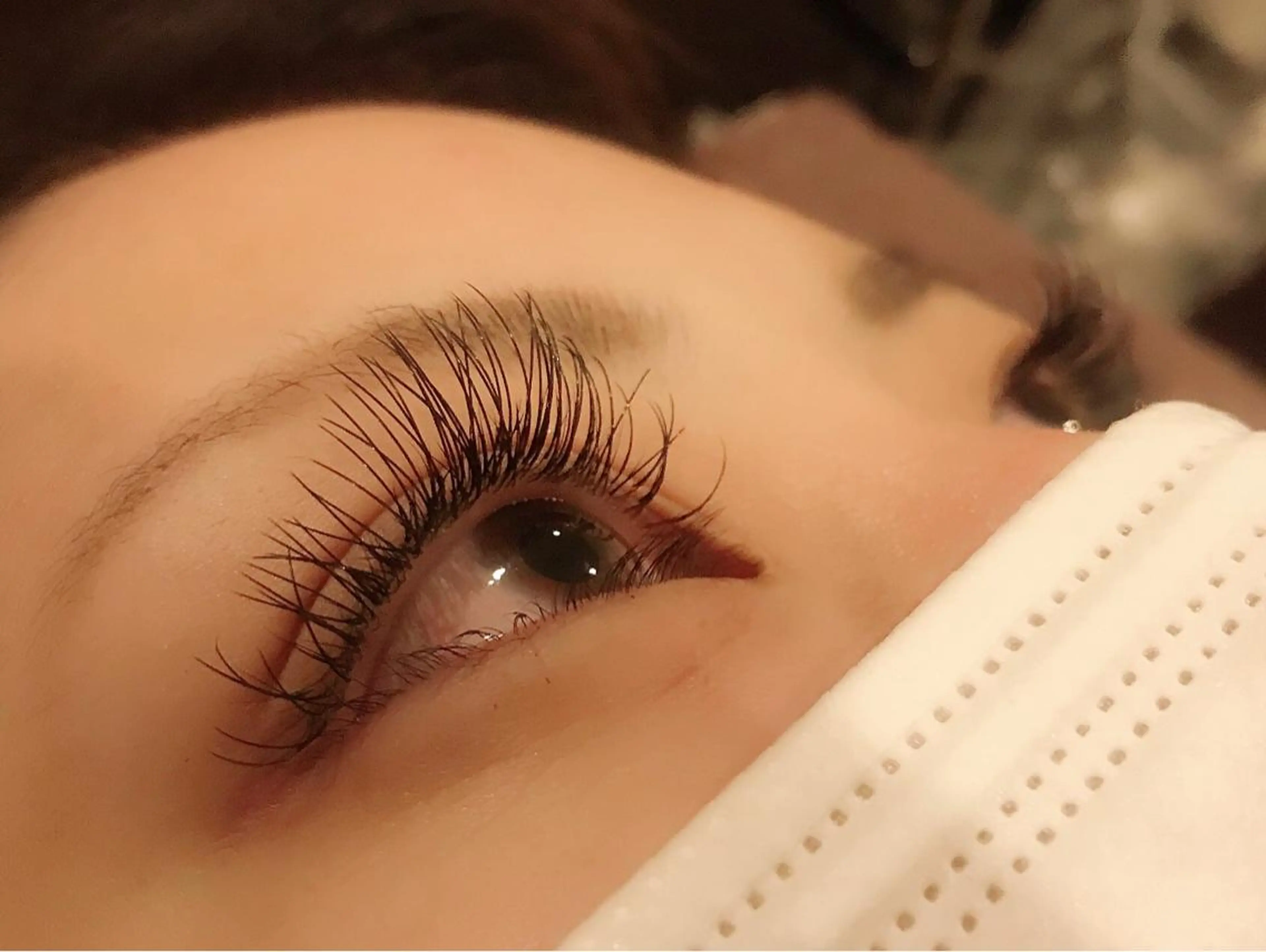 マツエク・マツパ Dカール セーブル 🦋Dio...川越 MINAKI🦋のマツエク・マツパデザイン