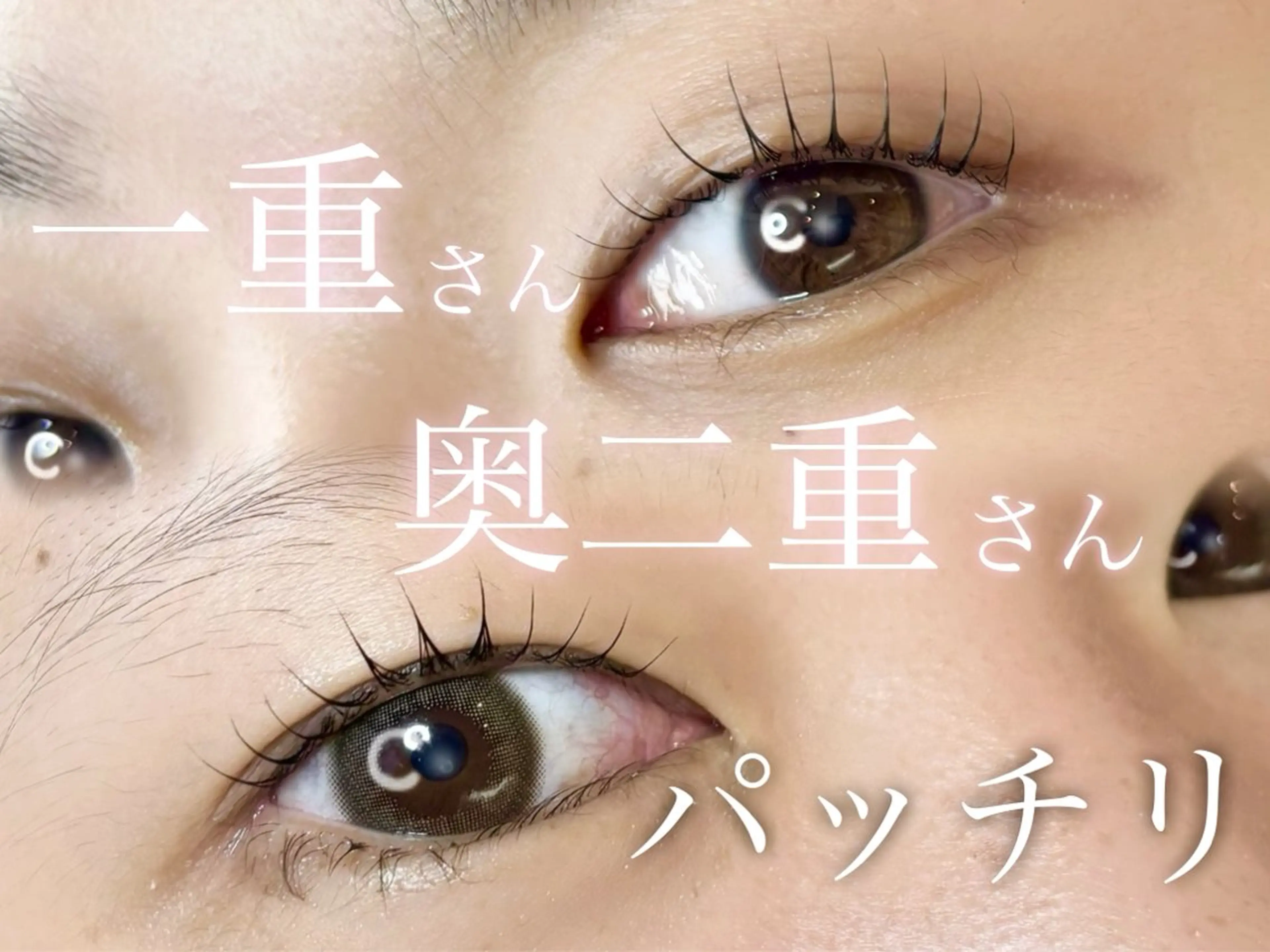 【一重/奥二重さん】しっかりカウンセリング◎まつ毛パーマ ￥3,500の写真