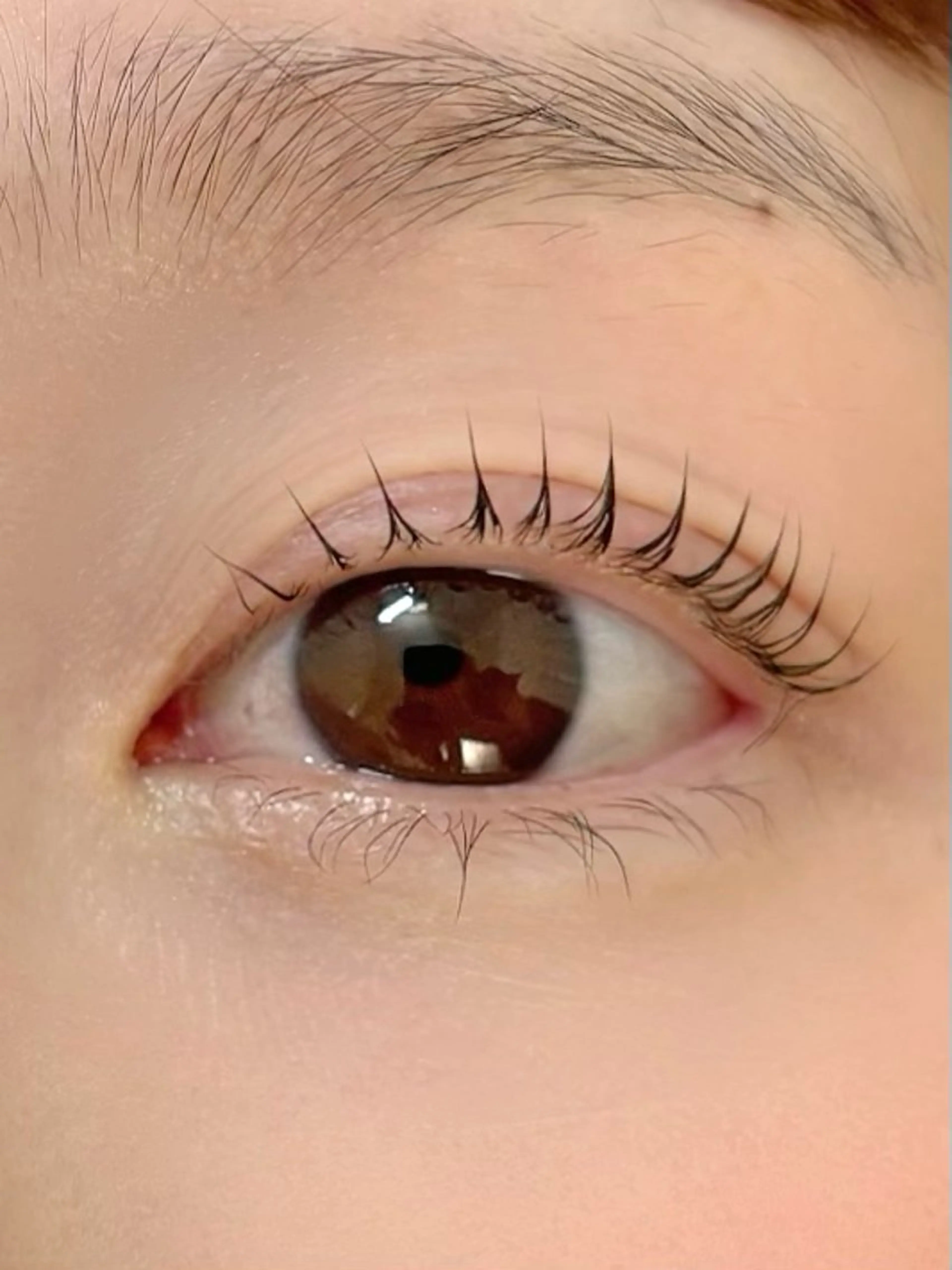 🌼パリジェンヌラッシュリフト/まつげパーマ🌿媒体掲載用撮影モデル様募集💫平日9時~16時の写真