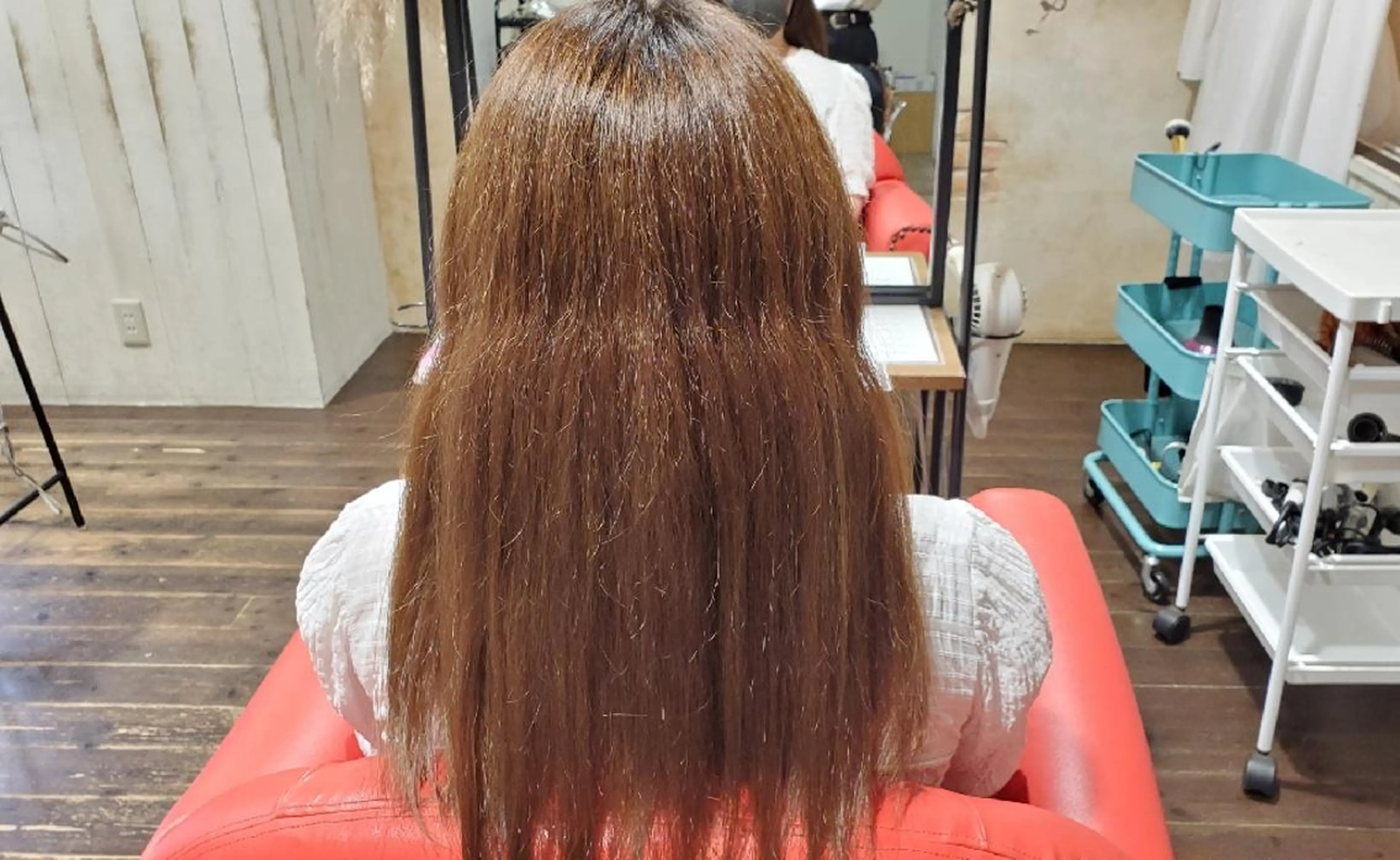 パ ルのヘアスタイル