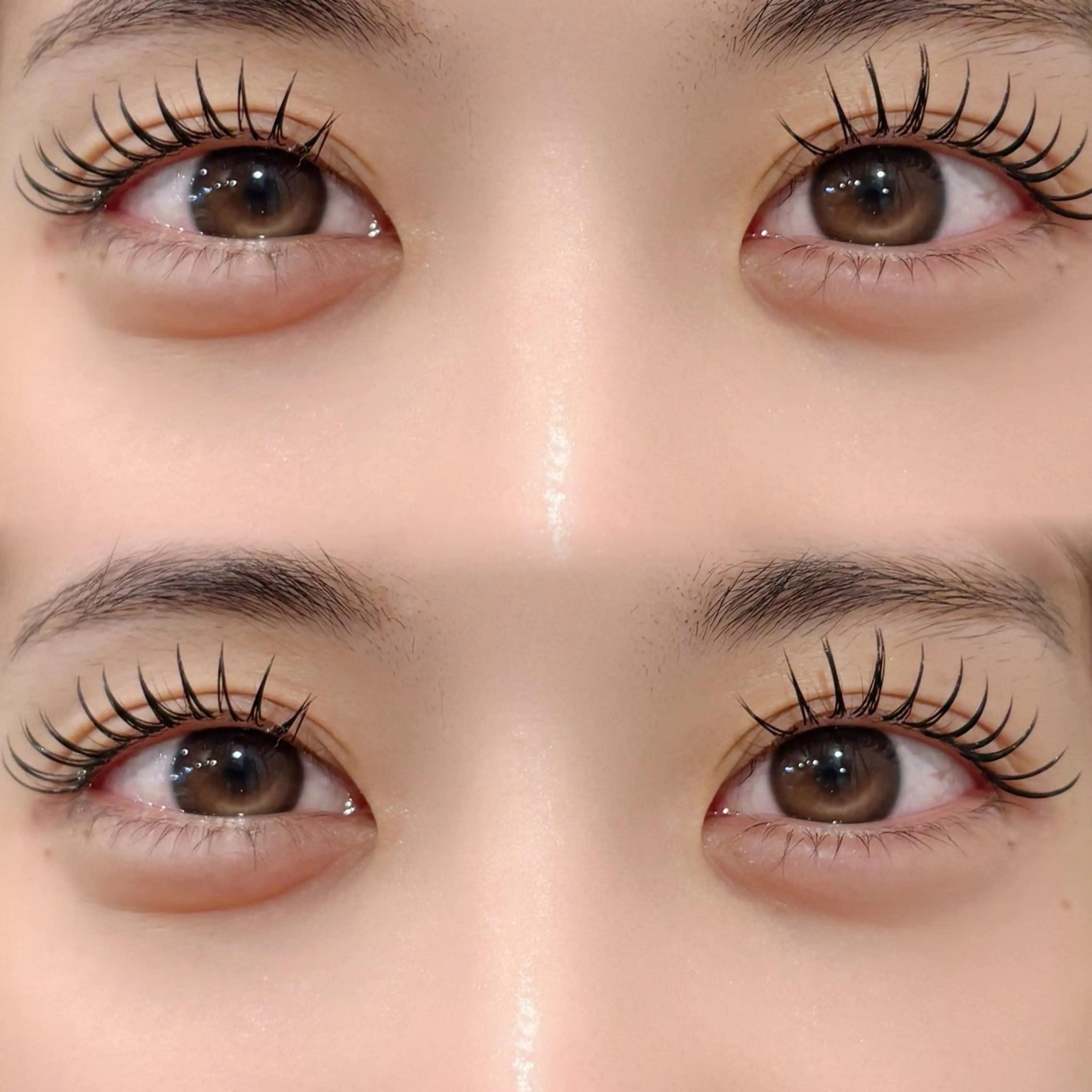 【パリエク🪄】パリジェンヌ＋バインドロック60束(シングル100本前後くらいの濃さ)の写真