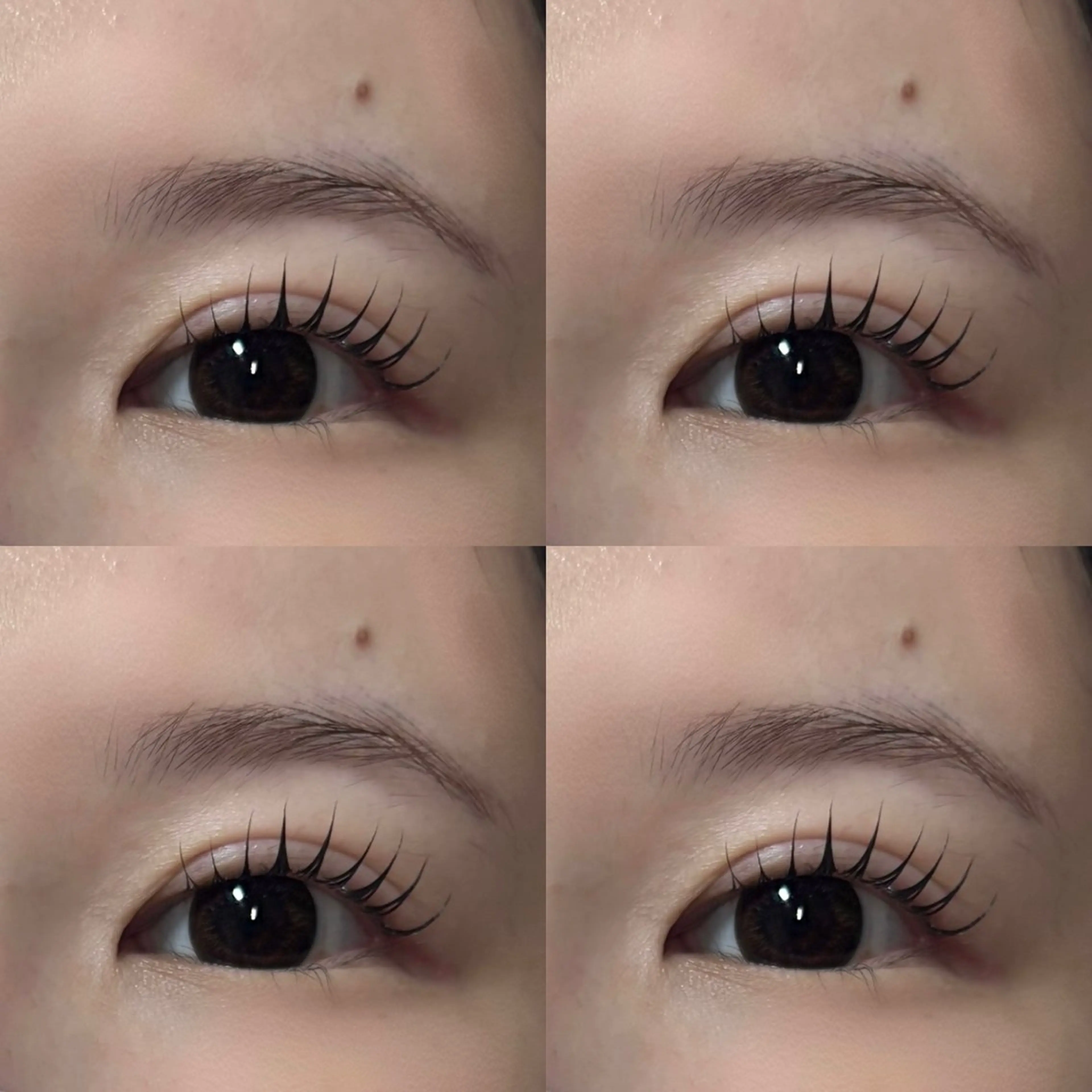 マツエク・マツパ まつ毛パーマ アイブロウ/心斎橋店のマツエク・マツパデザイン