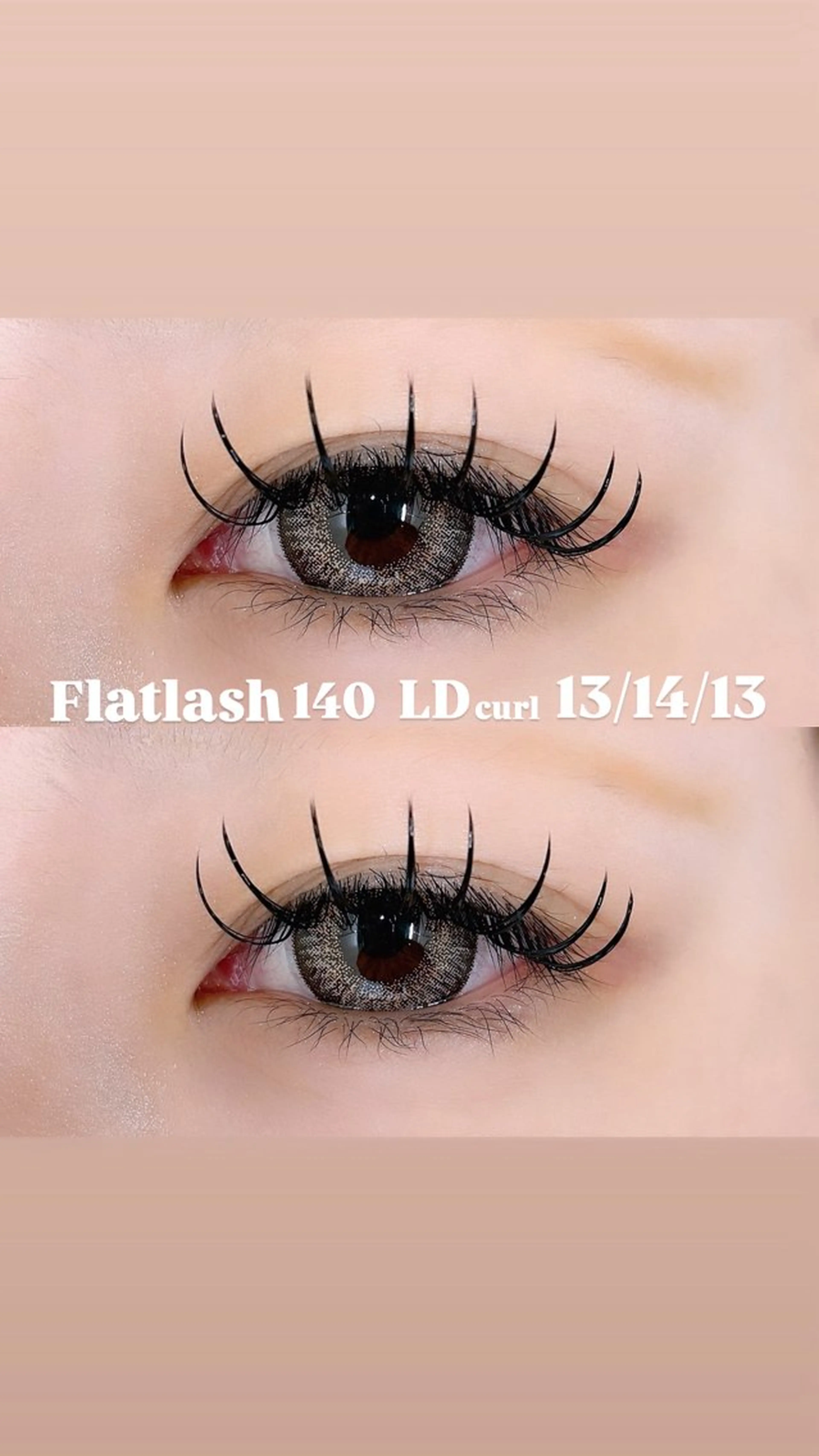 フラットラッシュ140本の写真