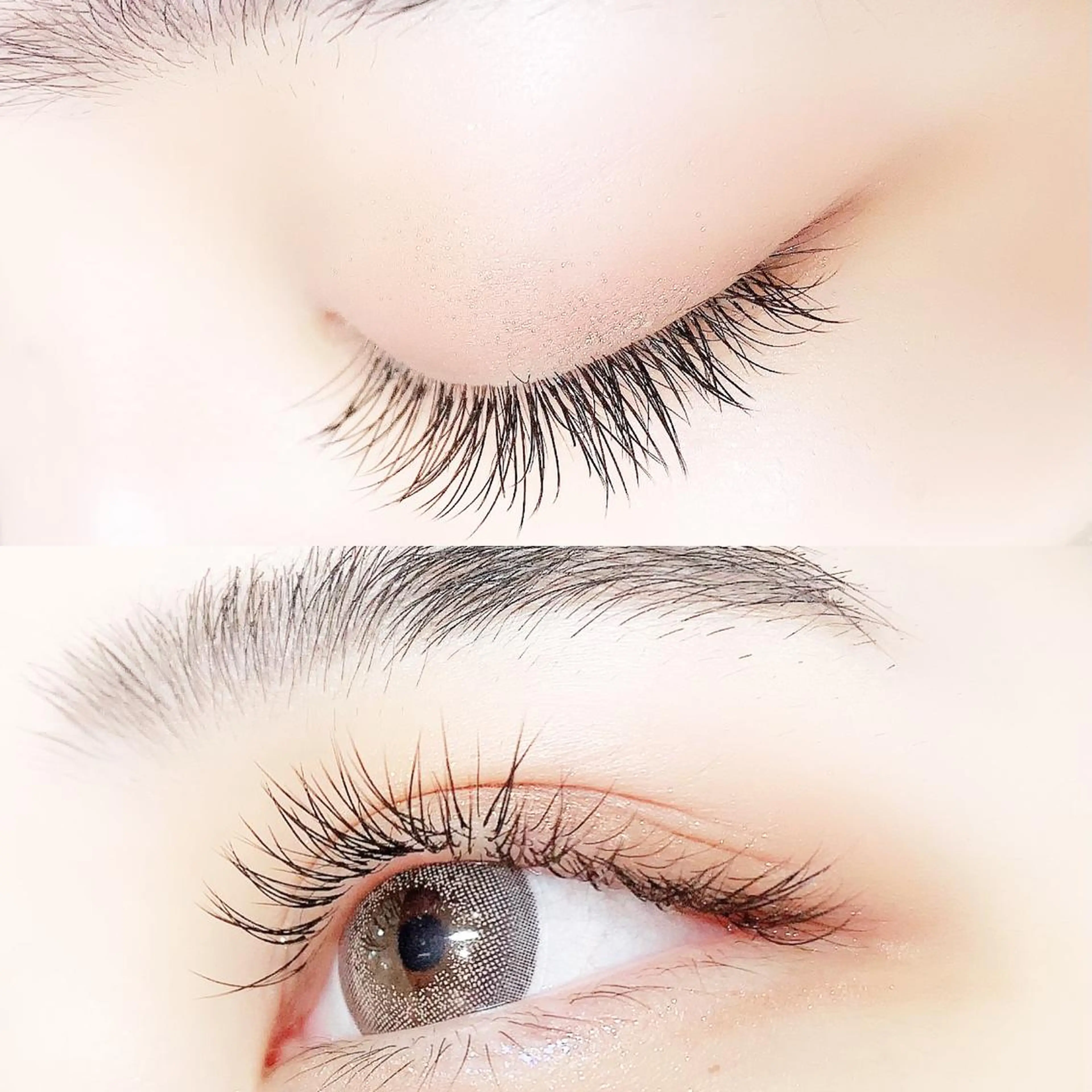 マツエク・マツパ キュート フラットラッシュ マツエク Lanhr所属・【Lanhr】 🕊aya🕊のマツエク・マツパデザイン