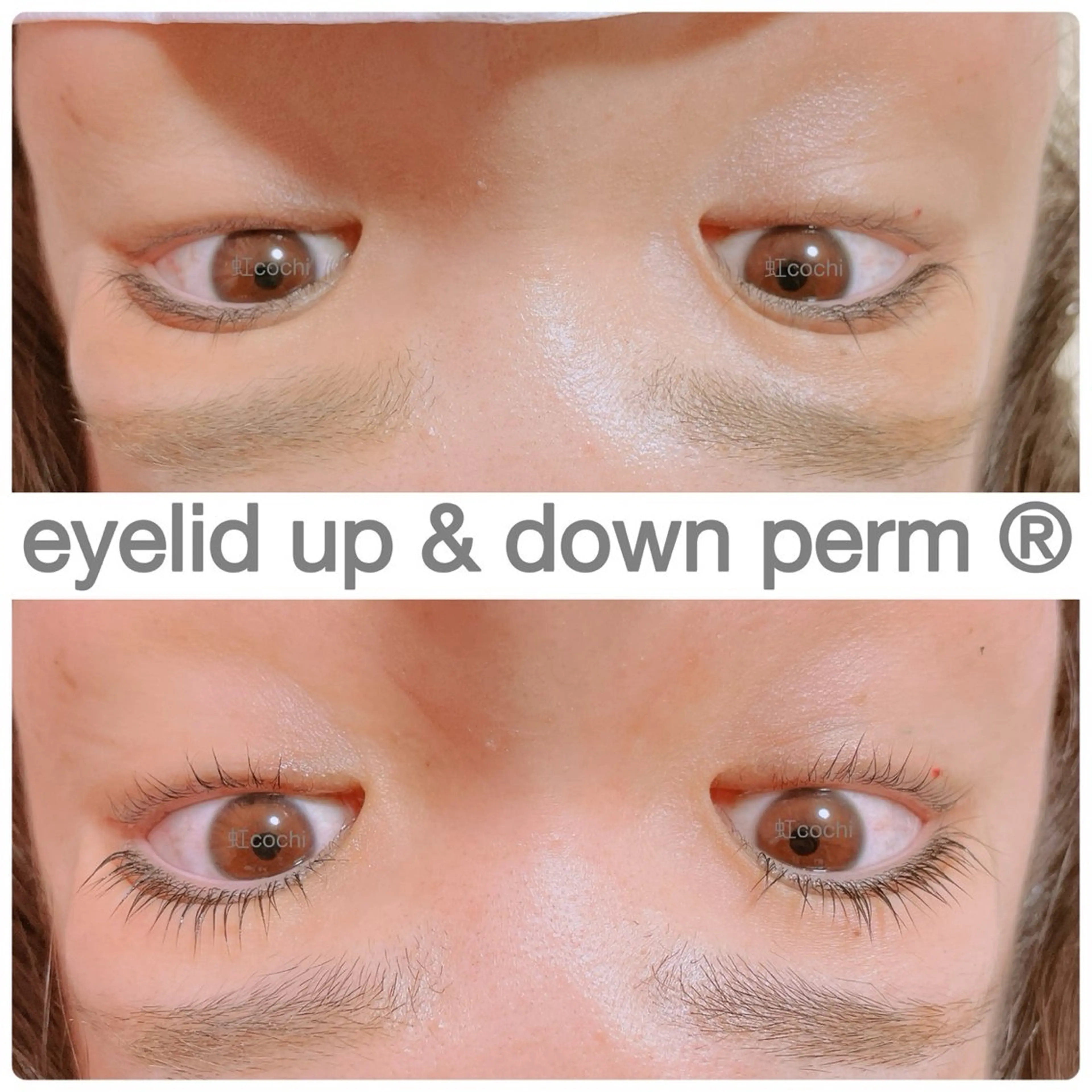 マツエク・マツパ マツパ 虹cochi  ( ここち )所属・葛井 鳴美のマツエク・マツパデザイン