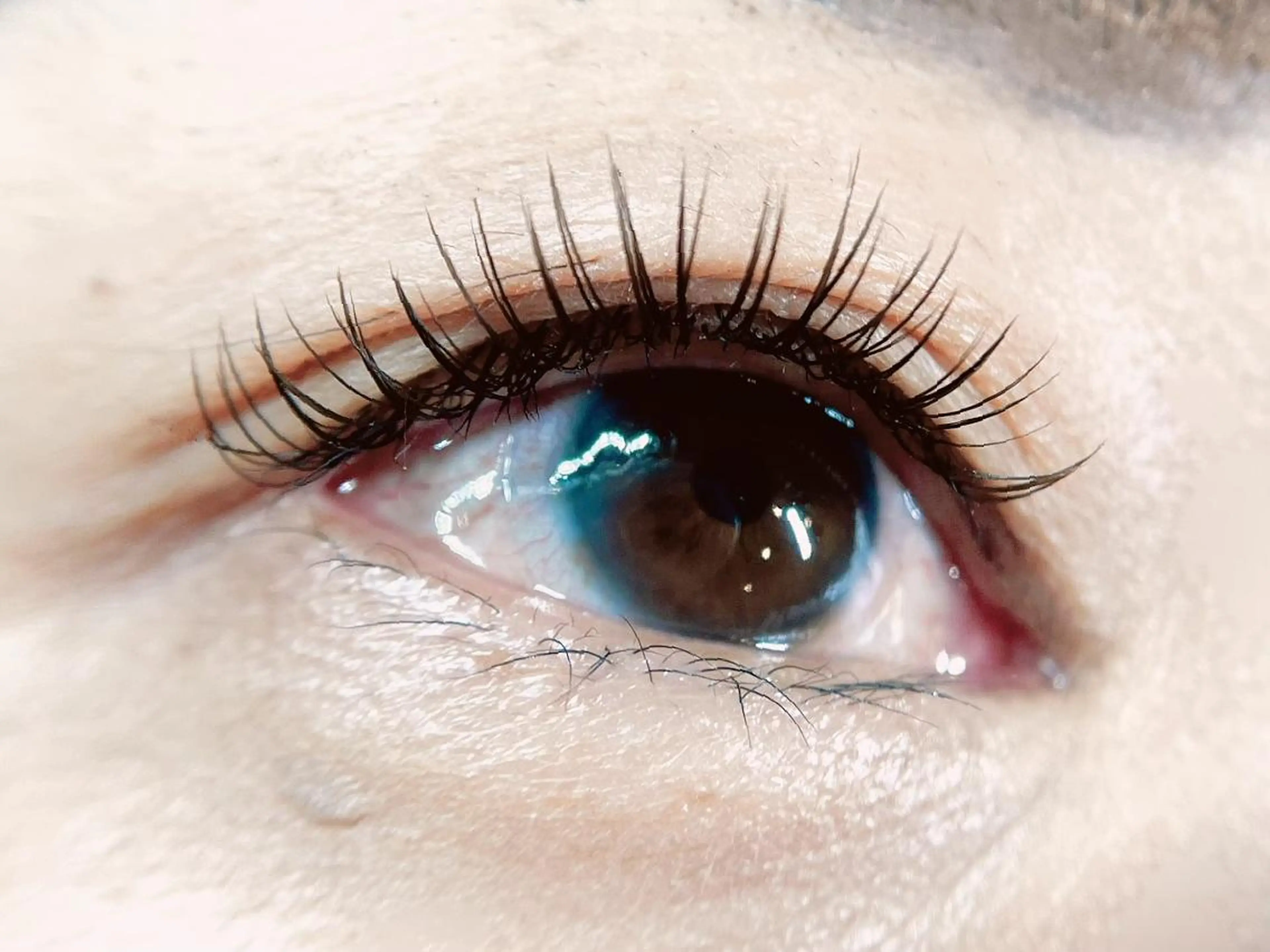 撮影モデル♥️フラットラッシュ100本+下まつ毛✨の写真