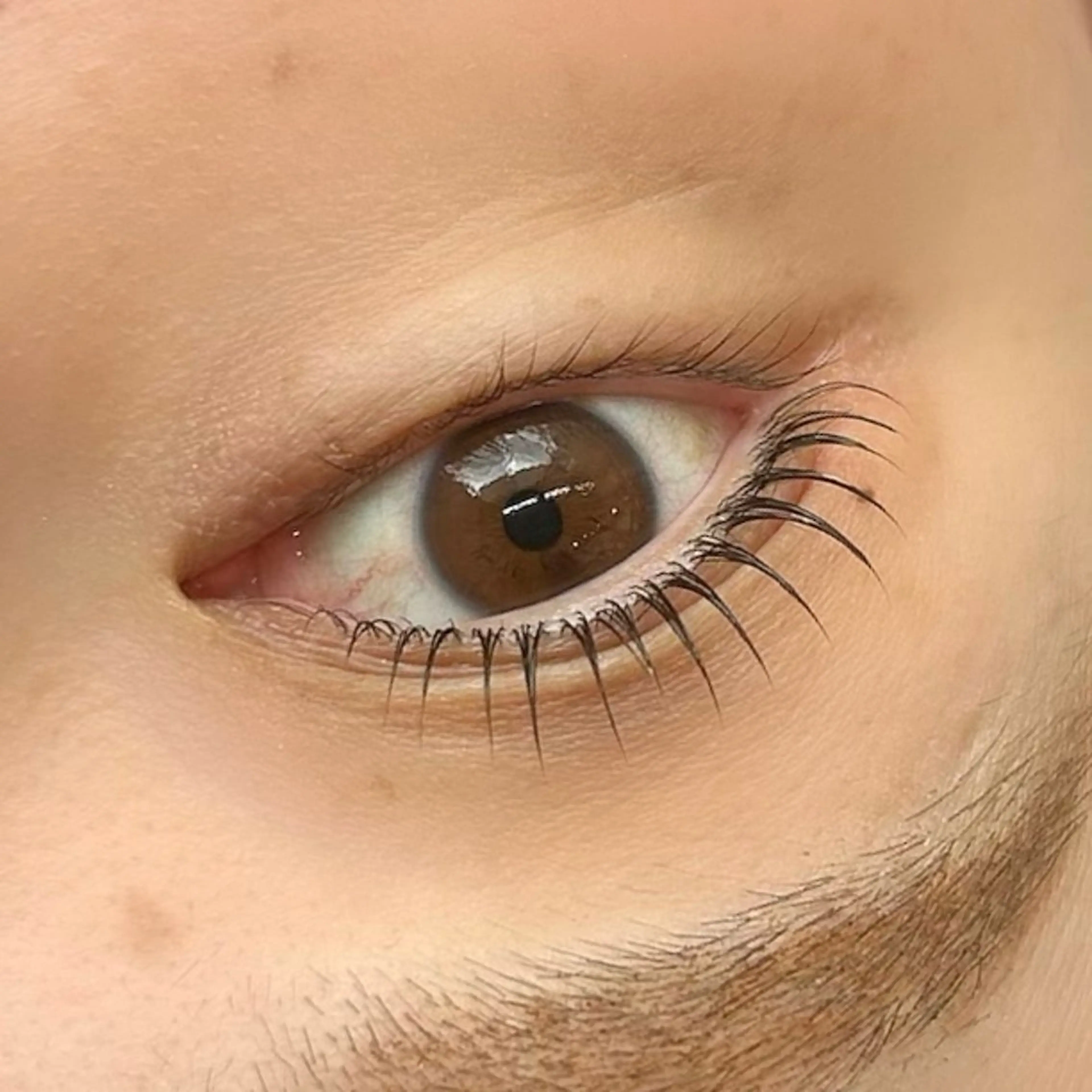 マツエク・マツパ 練習モデル募集中/ ヤマダエリのマツエク・マツパデザイン