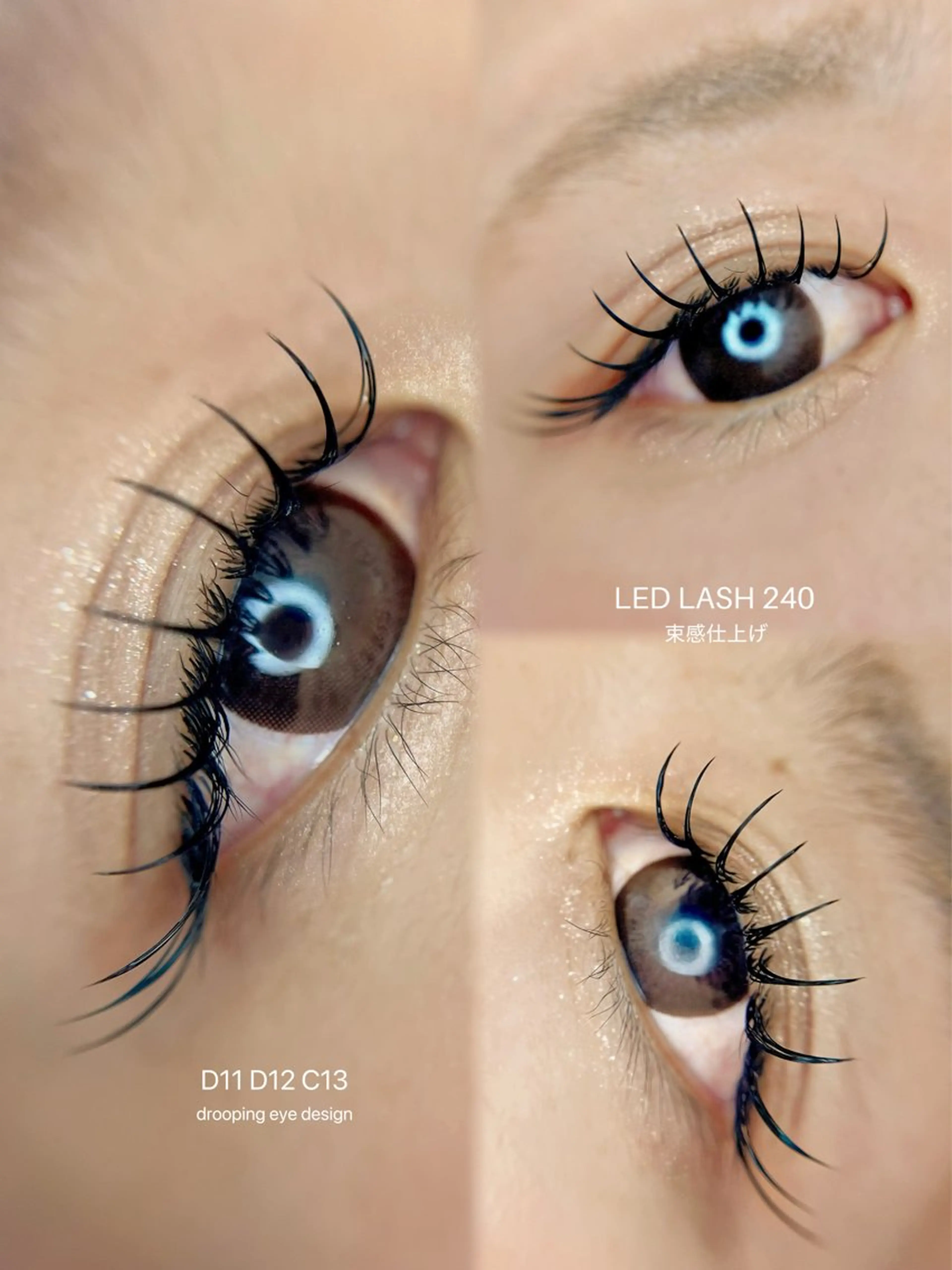 ▫️【 新規限定 】 LED LASH 160本 - 付け放題 ¥8,000~の写真