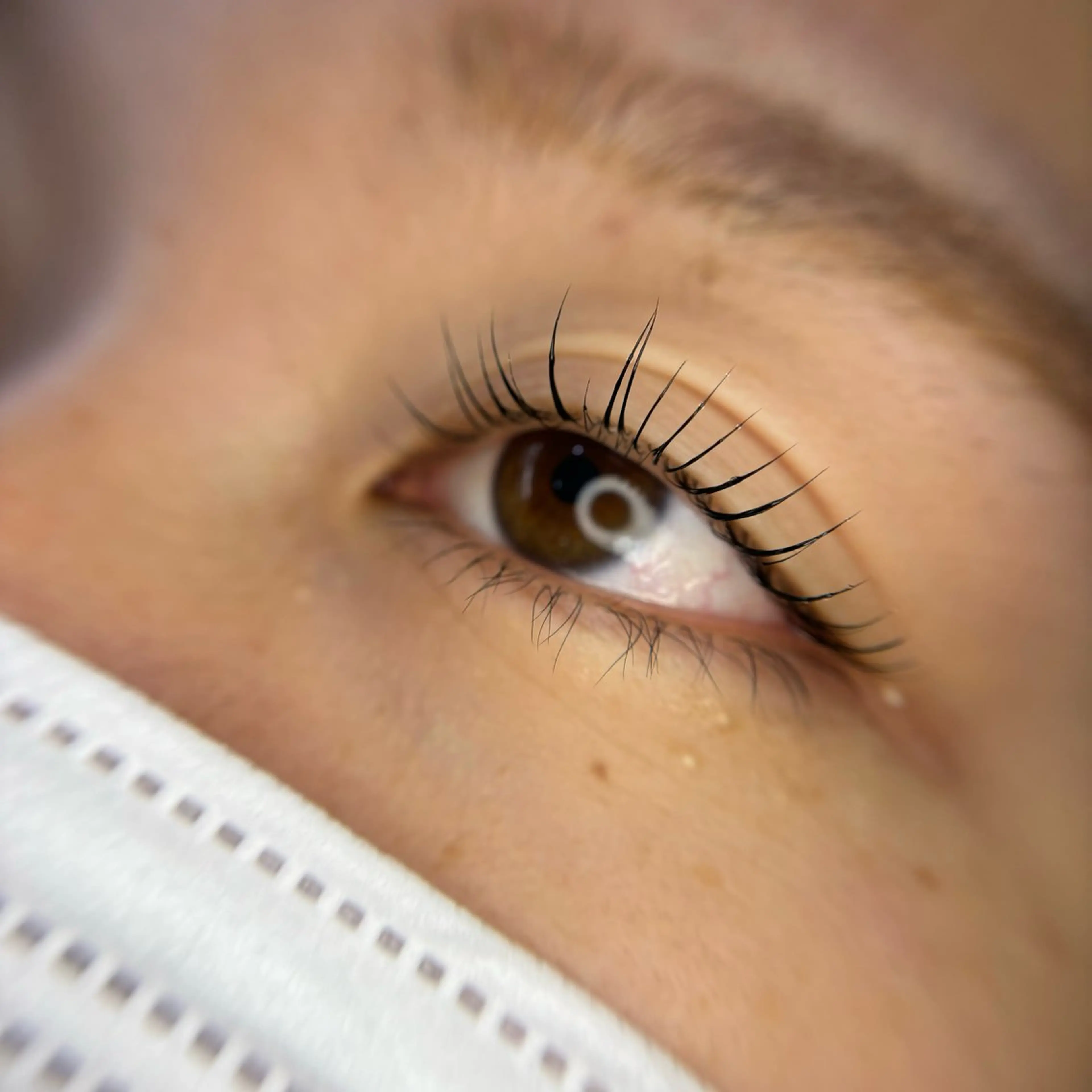 【ミニモ学割】🌟まつ毛パーマ👀全学生さん対象🧑‍🎓の写真