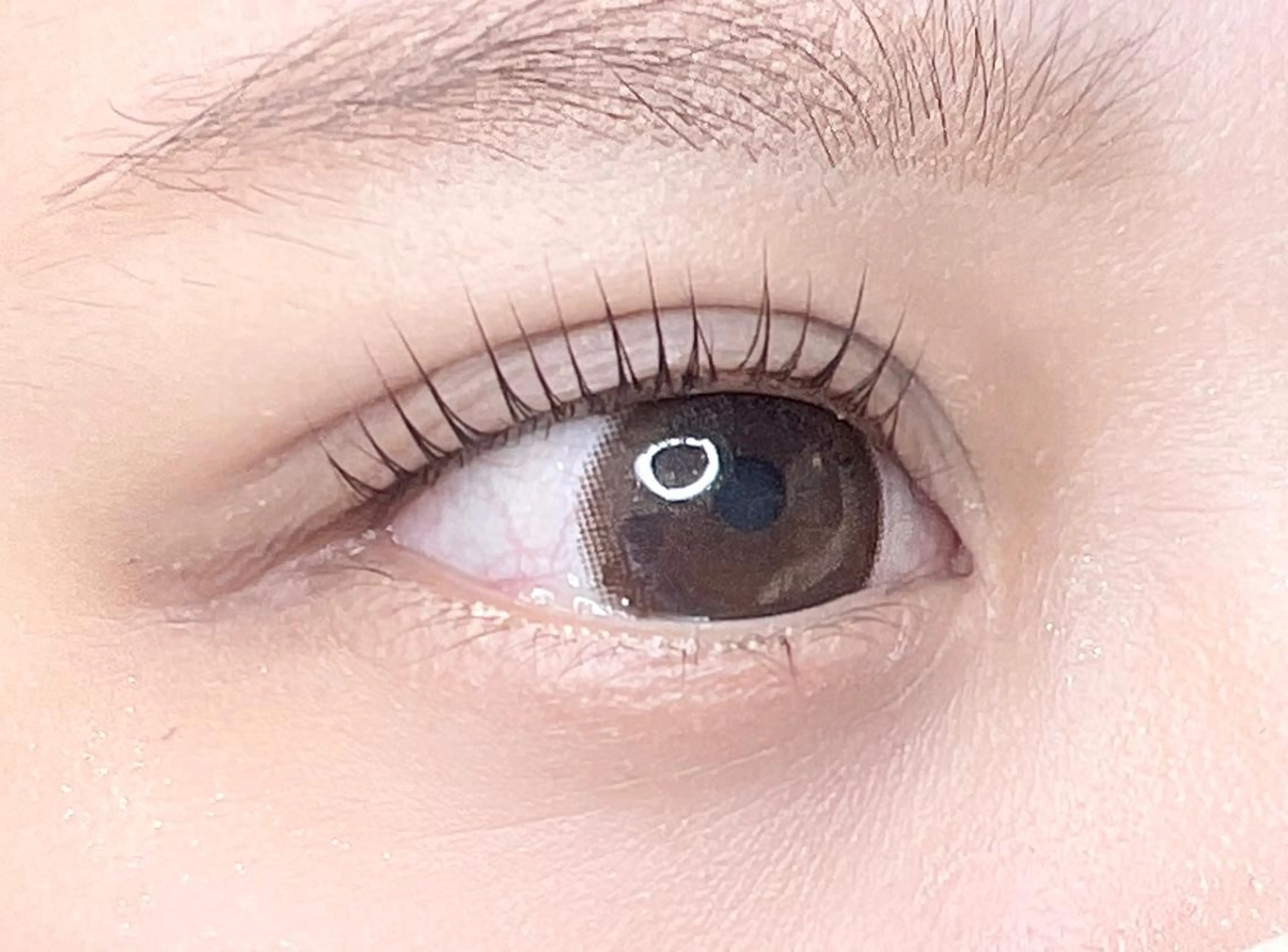 マツエク・マツパ ケラチンラッシュリフト パリジェンヌラッシュリフト マツパ eyelash plan api所属・【plan】 kaoriのマツエク・マツパデザイン