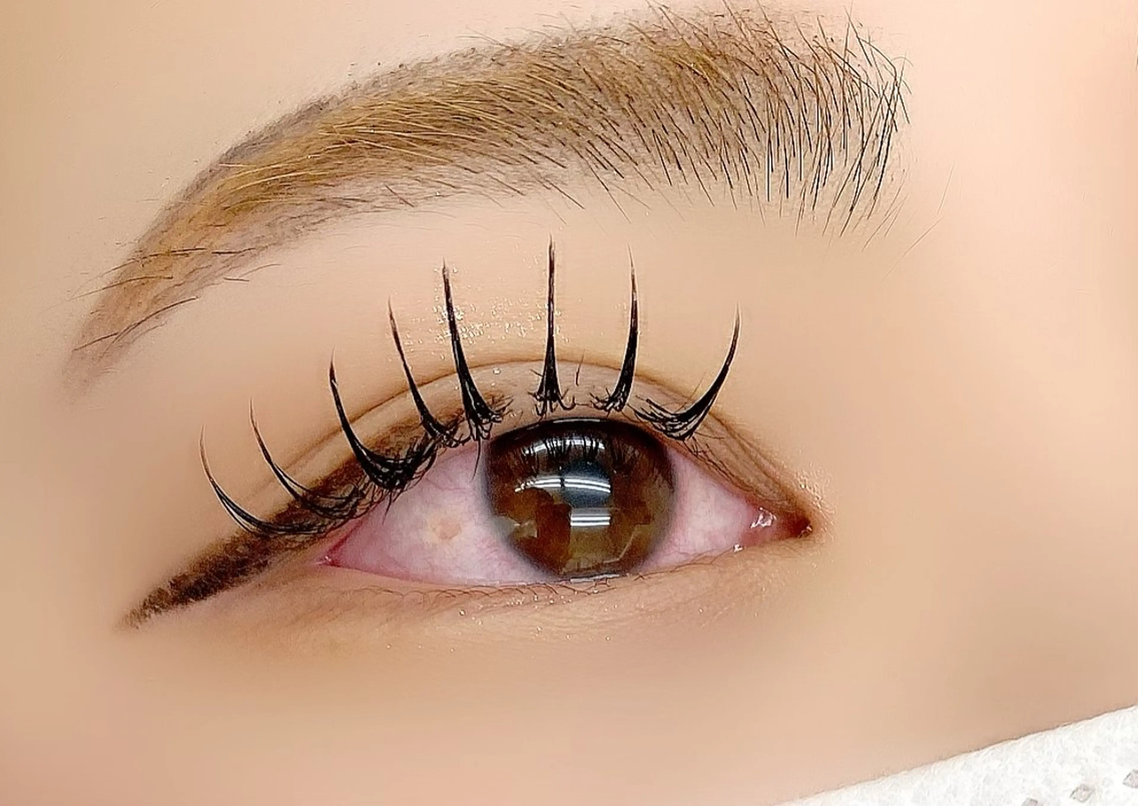 マツエク・マツパ BECKY LASH 芹澤のマツエク・マツパデザイン