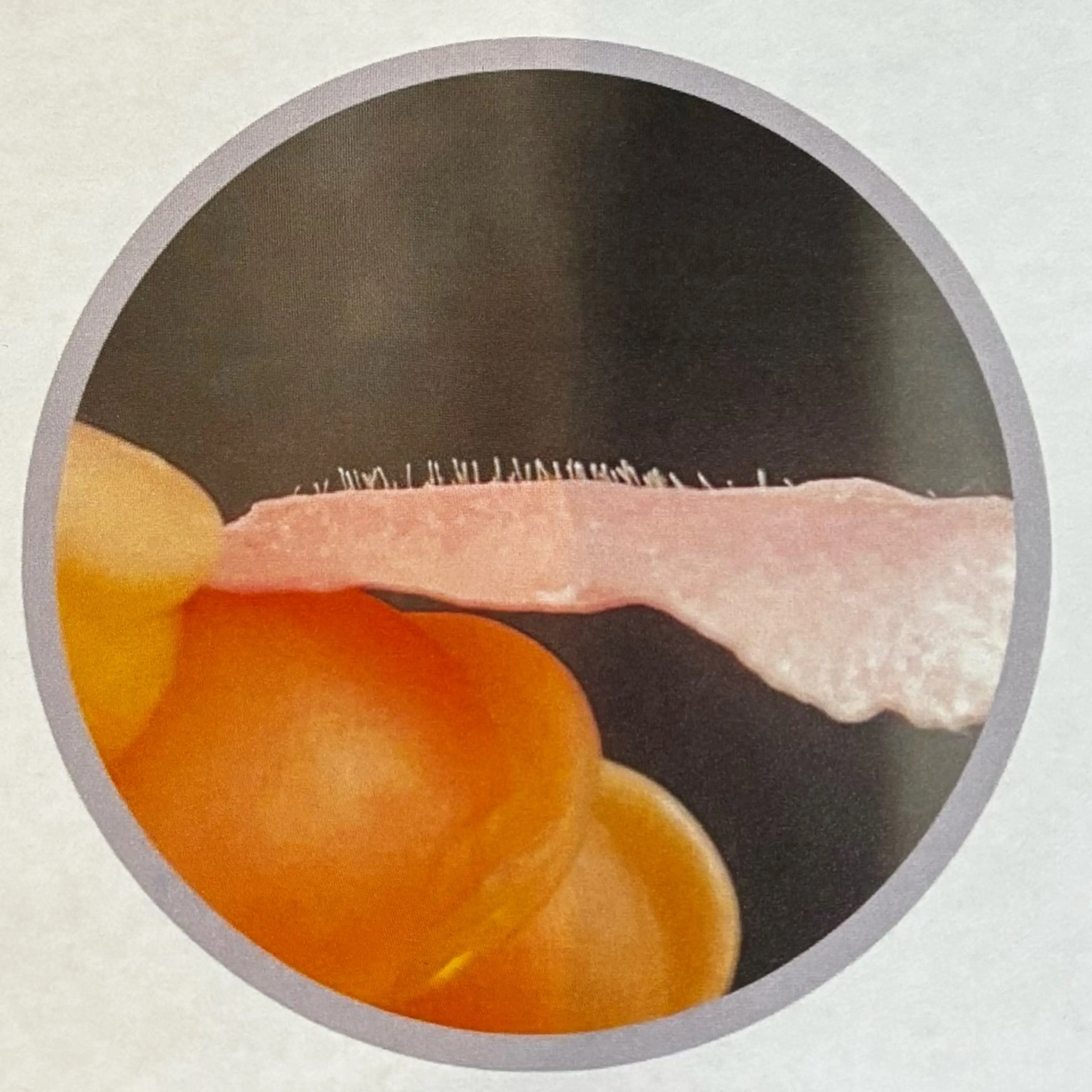 【ツヤ肌フェイスワックス✨】くすみ除去&毛穴引き締めで小顔効果アップ♪(保湿パック付)の写真