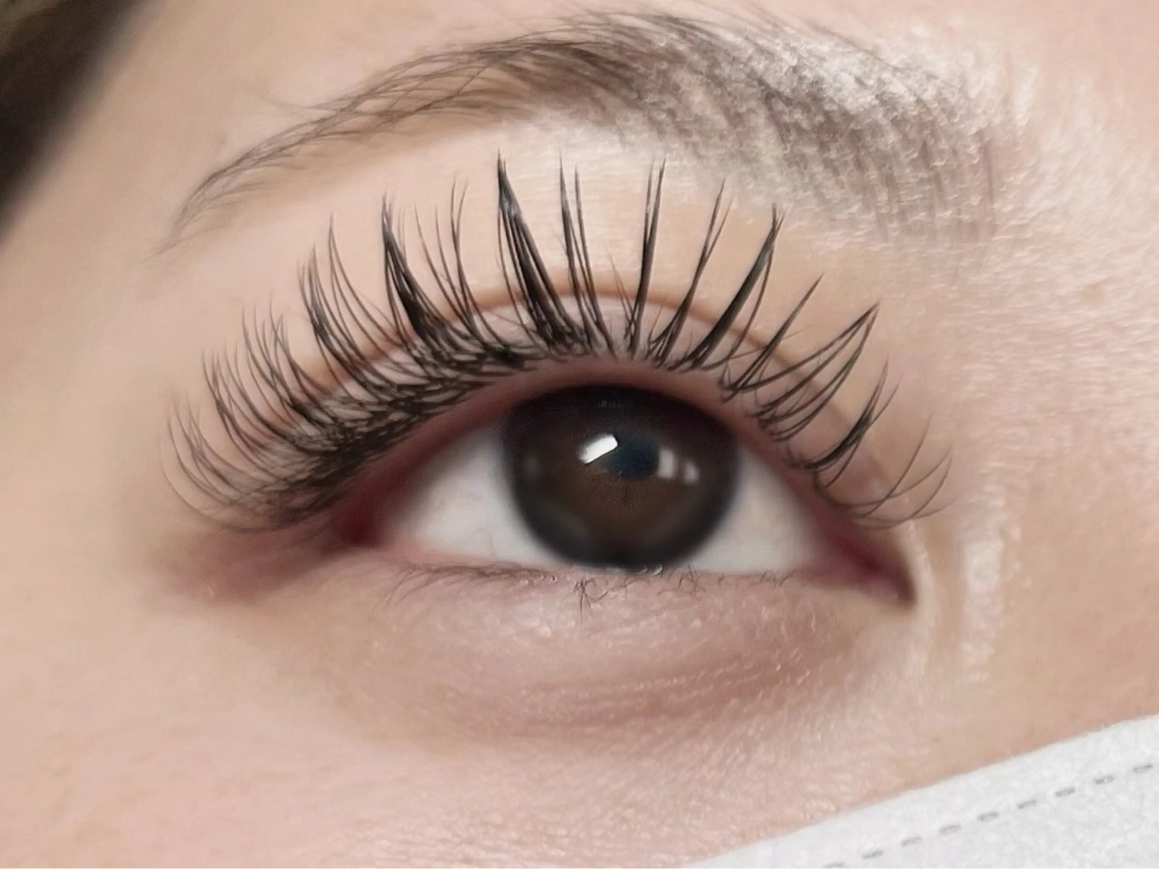 フラットマットラッシュ付け放題✨圧巻の200本以上!【オフ別途】J/C/CC/Lカール対応の写真