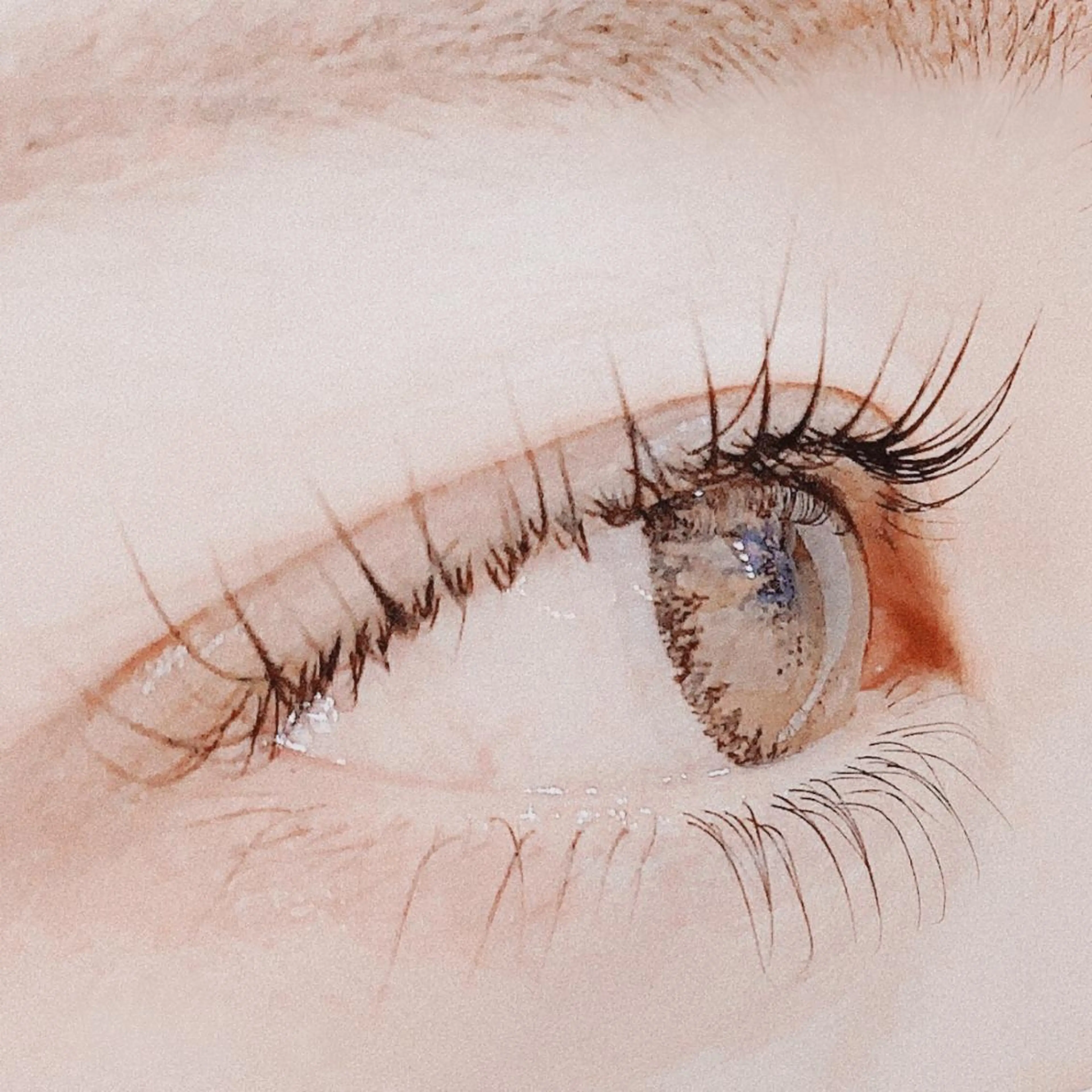 パリジェンヌラッシュリフト上下　¥9000の写真