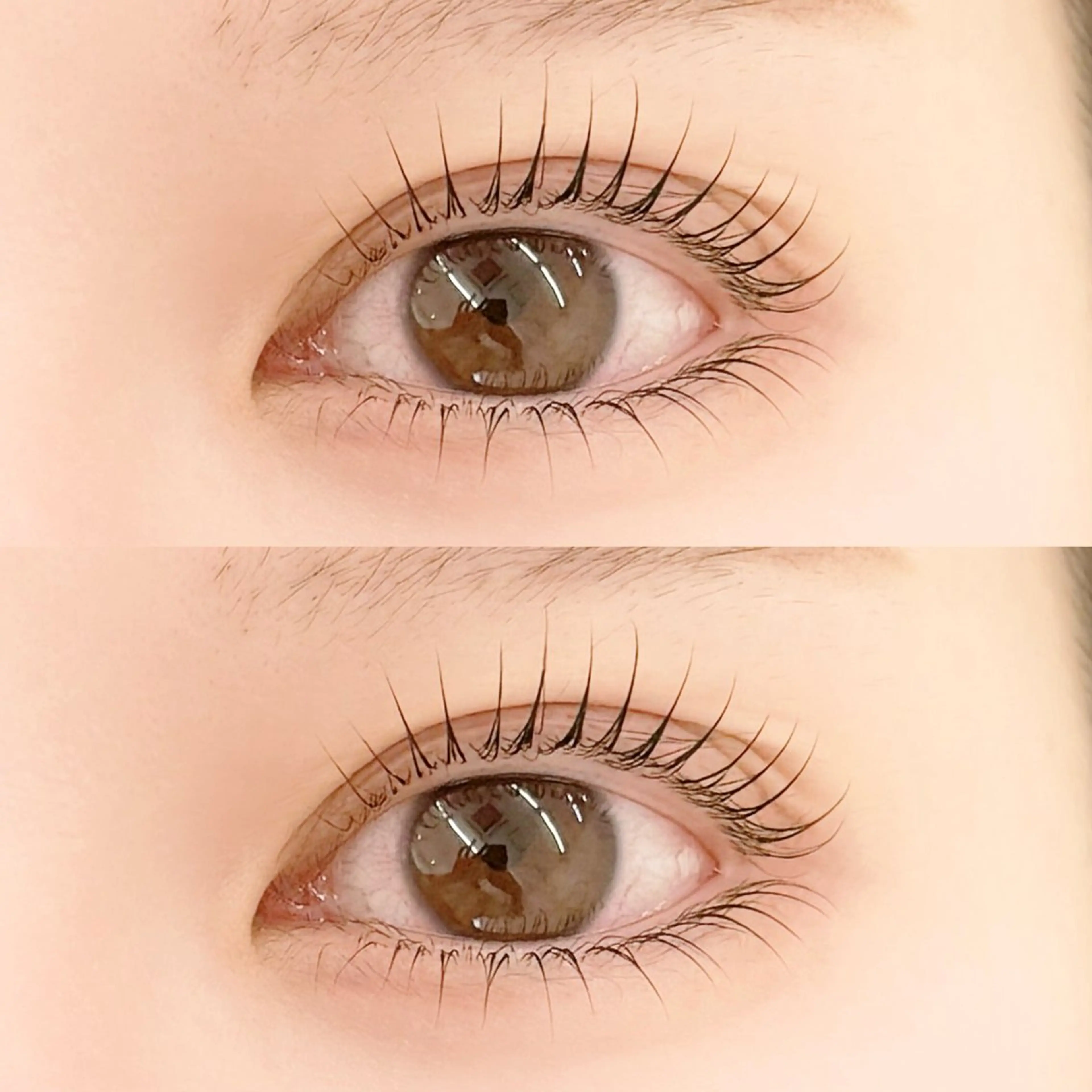 上下まつ毛パーマ🌱お目元がぱっちり◎        🩷¥8000🩷　すぐ予約⭕️の写真