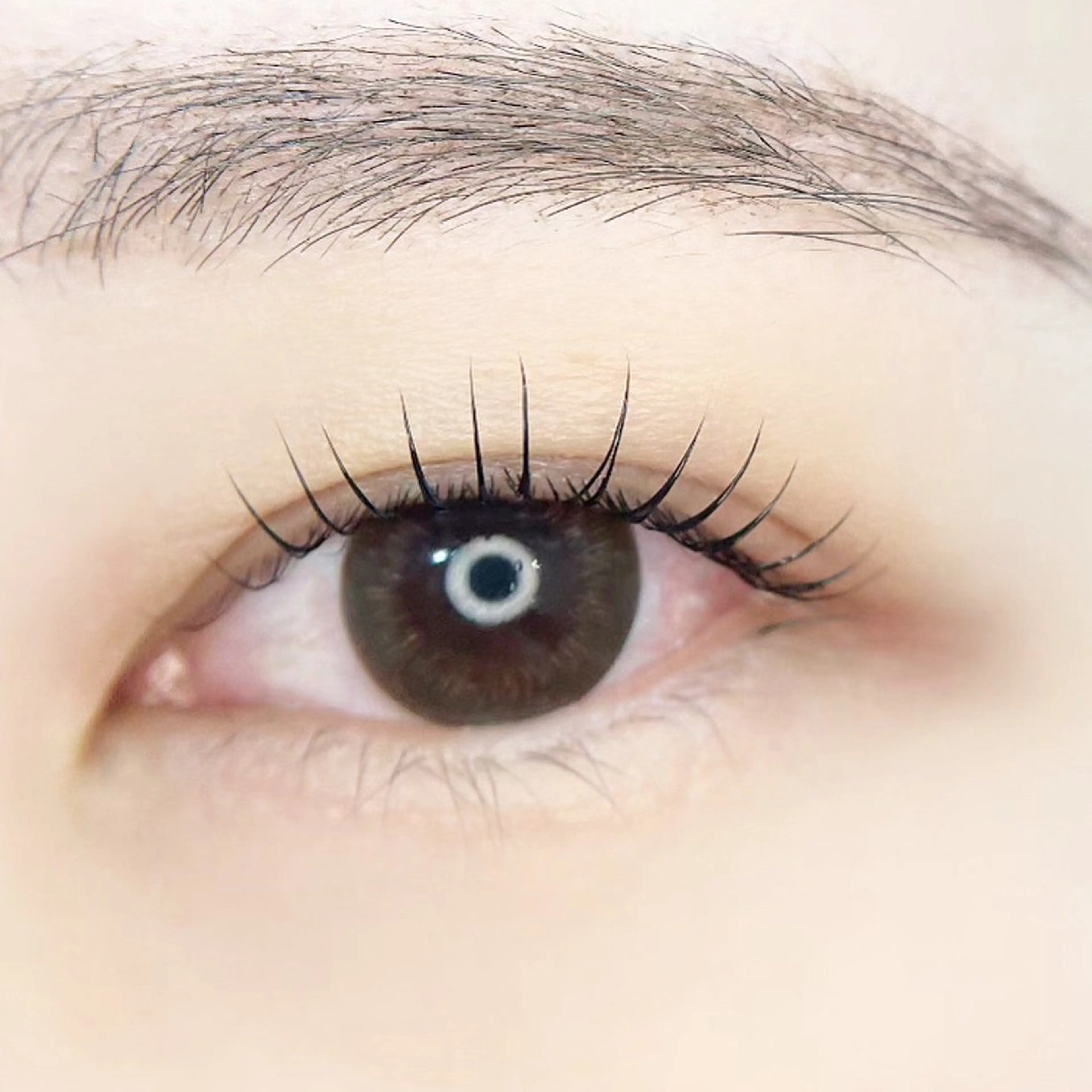 マツエク・マツパ マツパ Moeil. /ﾓｲﾕのマツエク・マツパデザイン