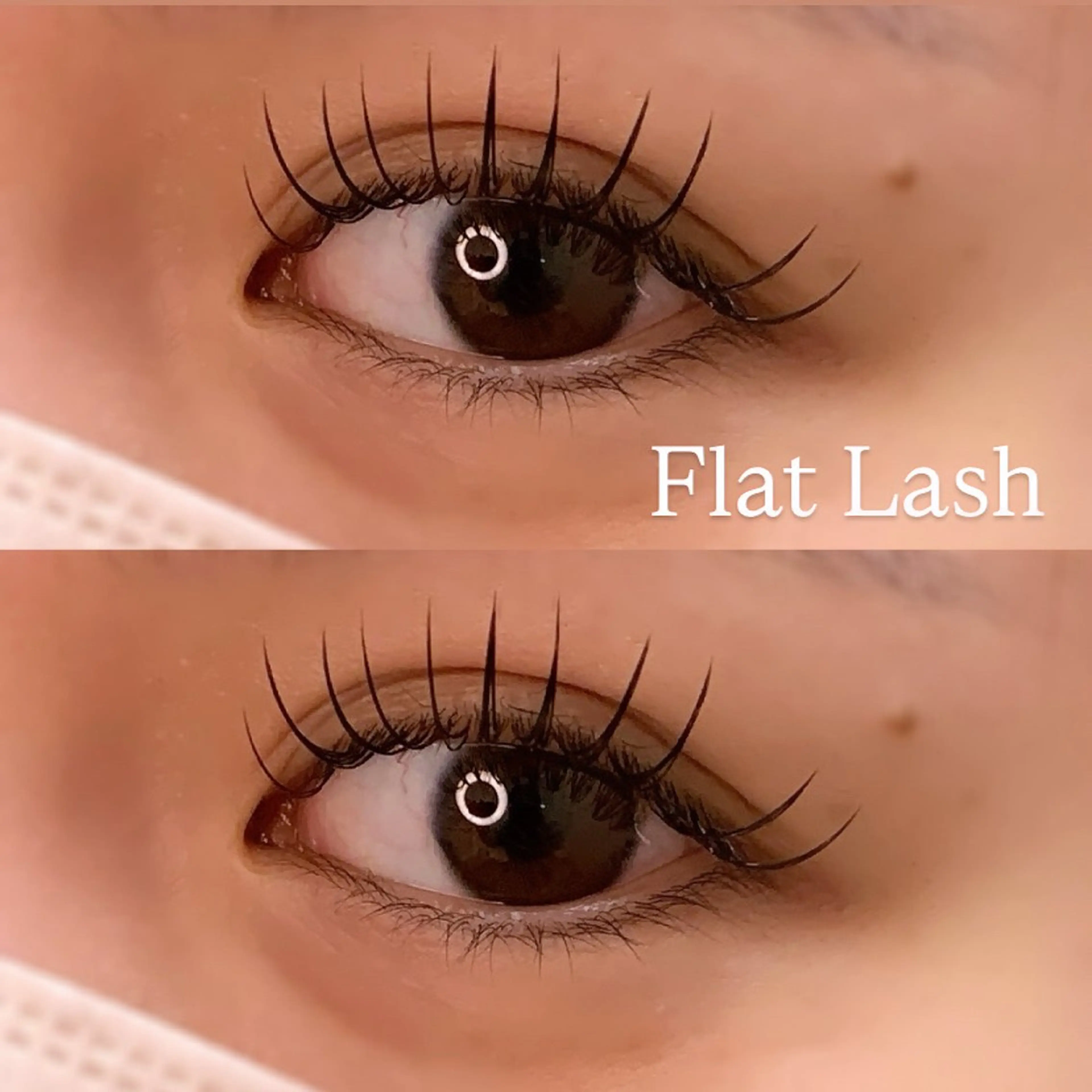 マツエク・マツパ Dカール フラットラッシュ マツエク Ayumi.pro 🍆N《4階》のマツエク・マツパデザイン