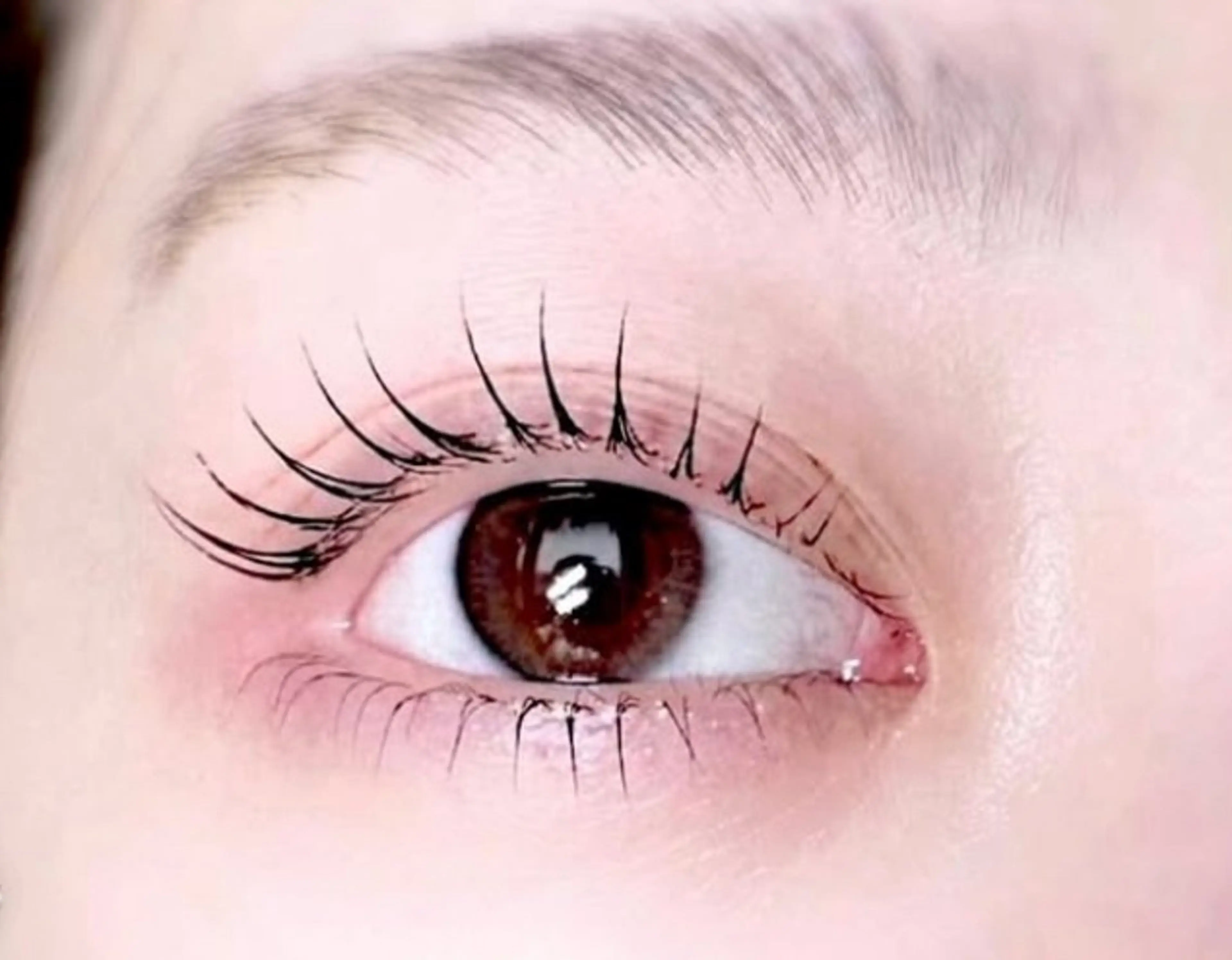 ⭐️大人気⭐️上次世代まつげパーマと下まつ毛30本4980の写真