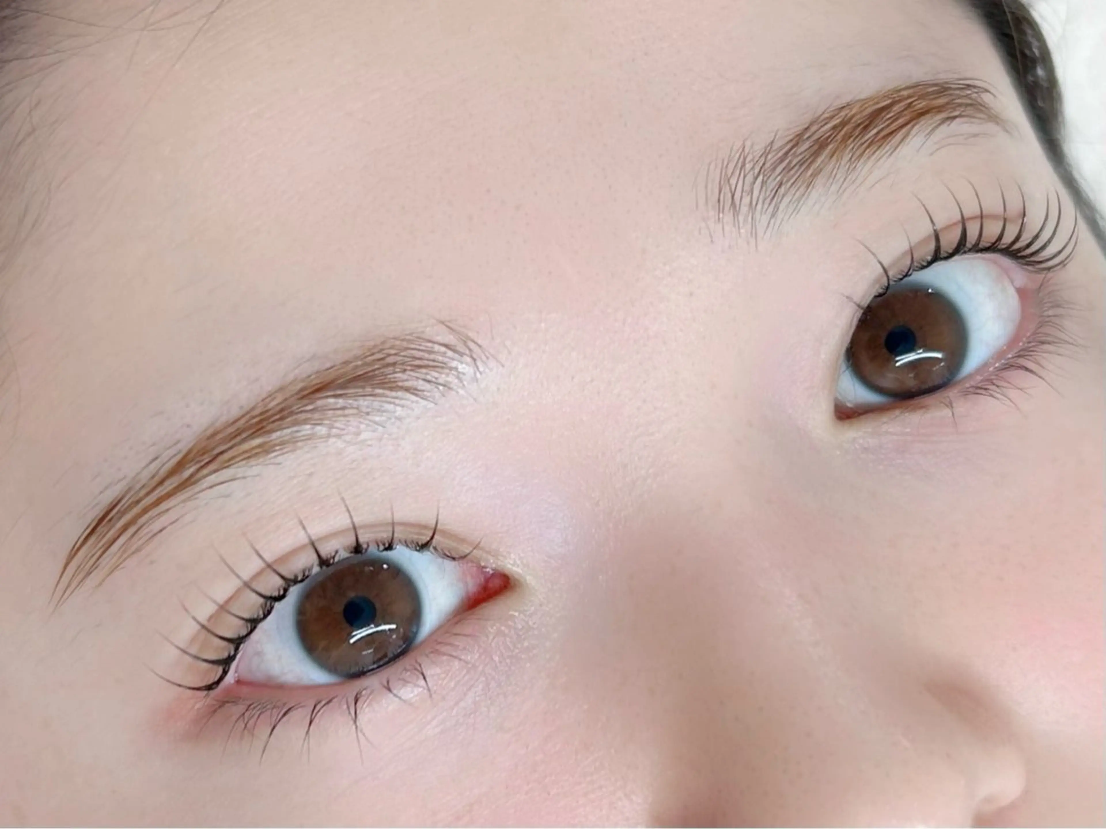 当日予約ゲリラクーポン🪽韓国風束感仕上げまつげパーマ♡〔パリジェンヌラッシュリフト〕の写真