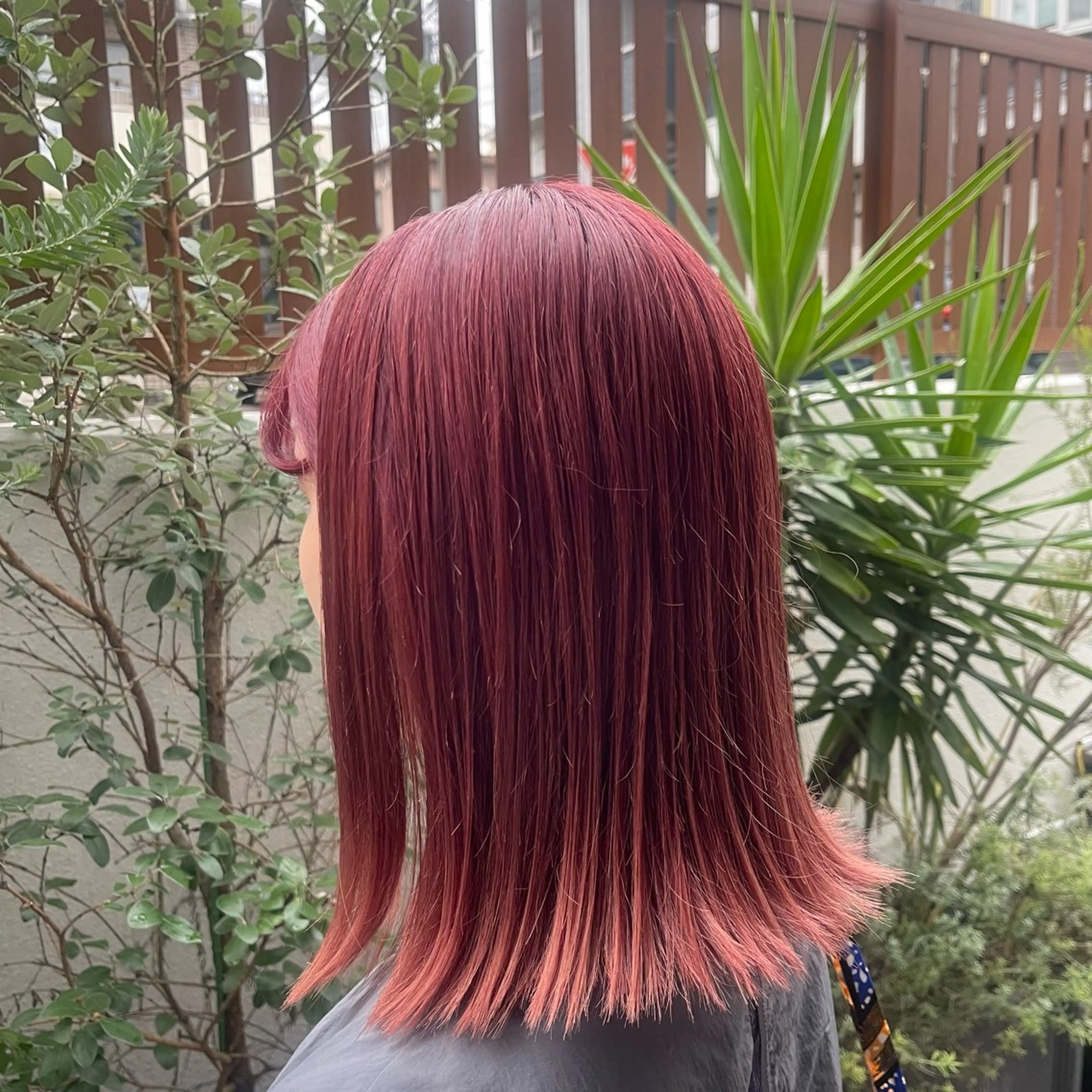 カラー カシス レッドカラー ヘアカラー 🌱ONE003🌱 原田涼香のヘアスタイル