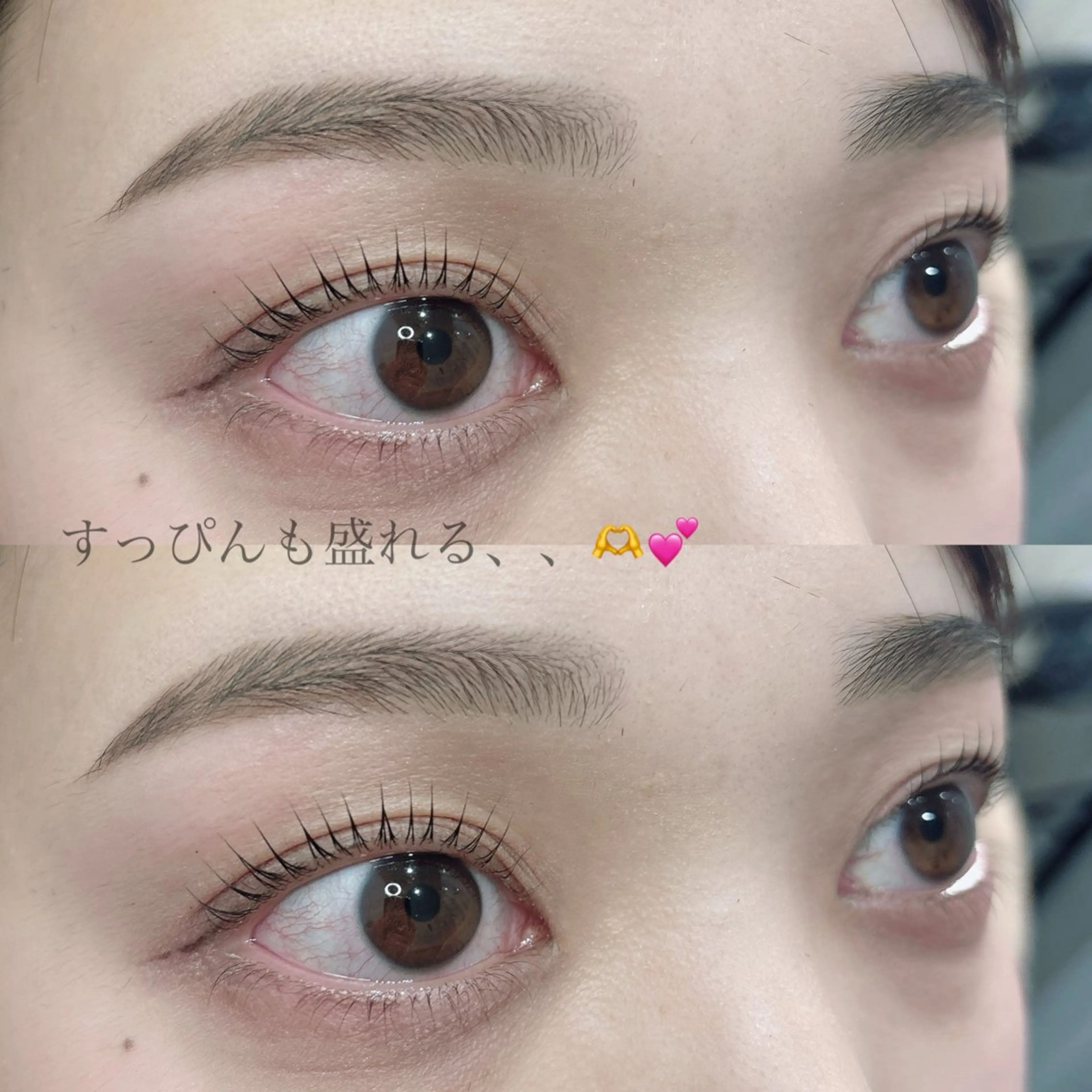 マツエク・マツパ 下まつげエクステ ワックス脱毛 その他(アイブロウ) SEALA 高石の眉毛・アイブロウイメージ