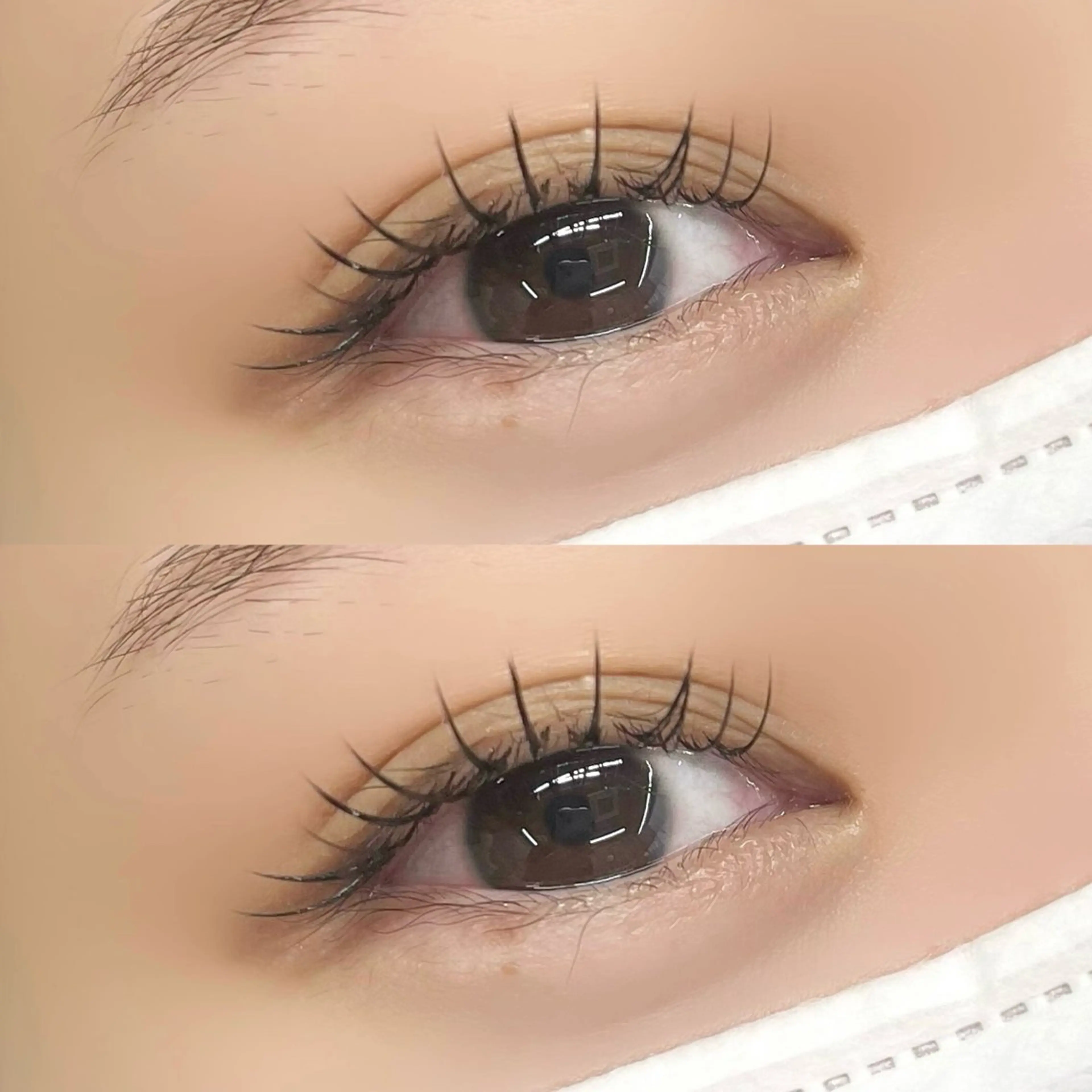 マツエク・マツパ マツエク 【LILY】伊沢/ バインド/パリ/エクのマツエク・マツパデザイン