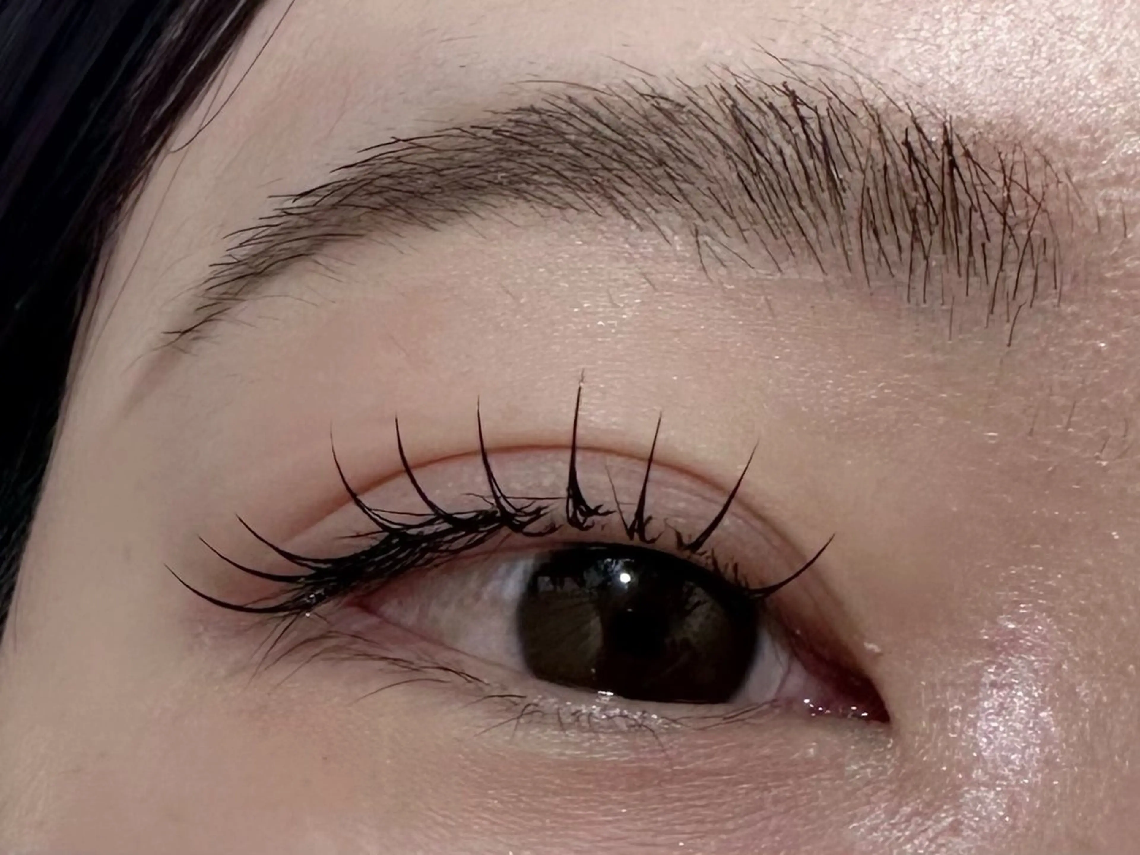 マツエク・マツパ マツエク 🦋eight misaki🦋のその他イメージ