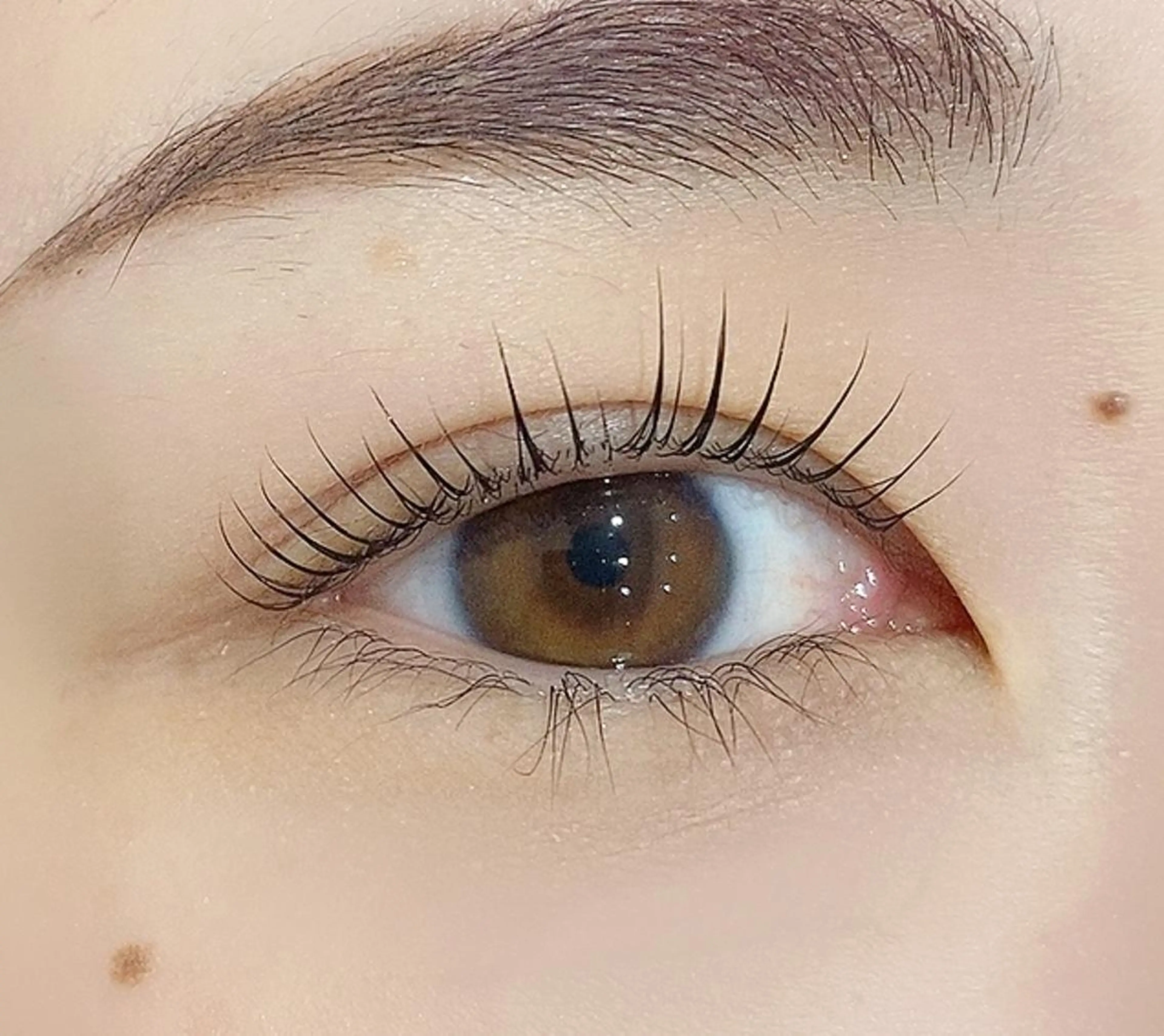 マツエク・マツパ RIGOLETTO 🤍吉成愛華のマツエク・マツパデザイン