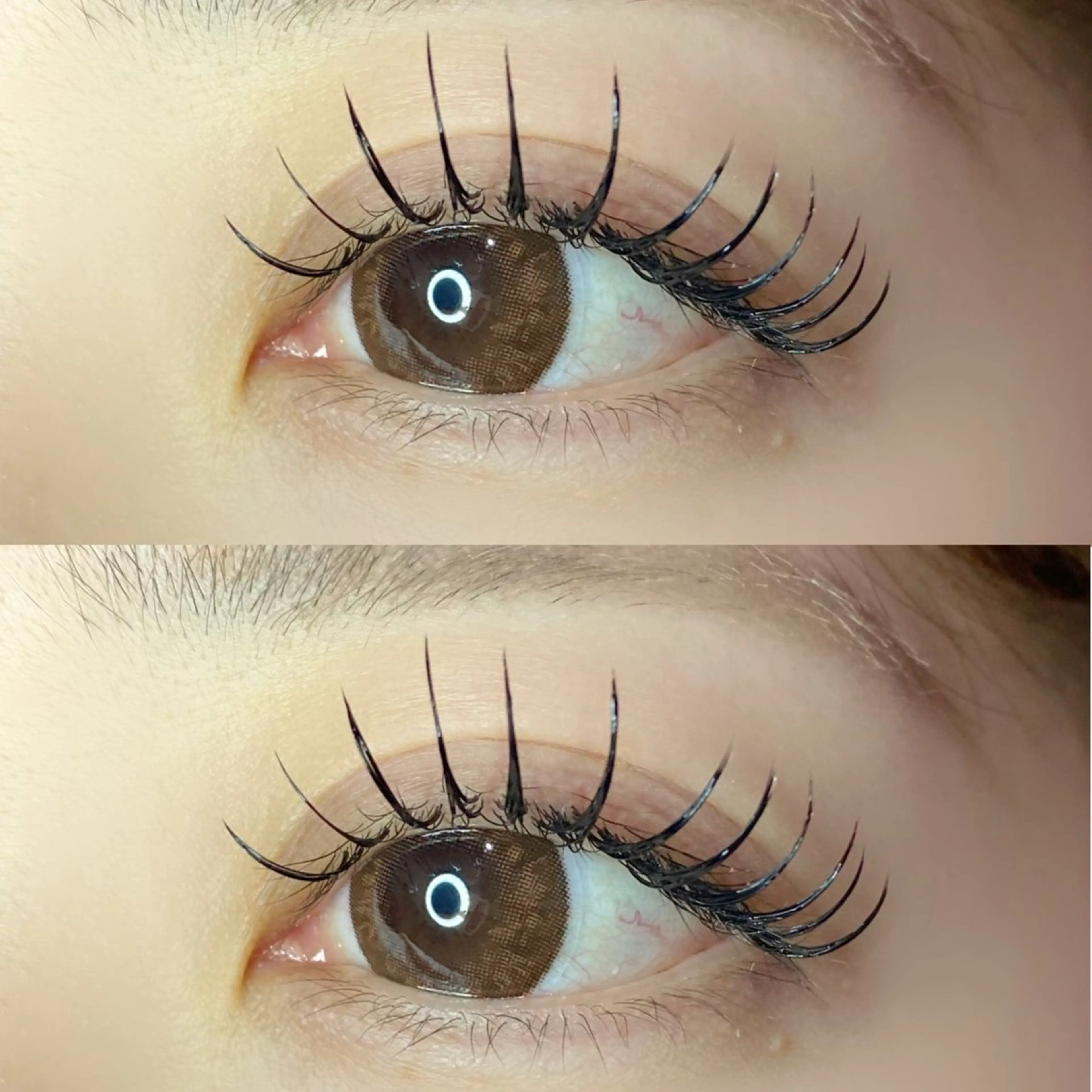 《束感⭐️⭐️⭐️》ダブルフラットラッシュ80束　￥5600の写真