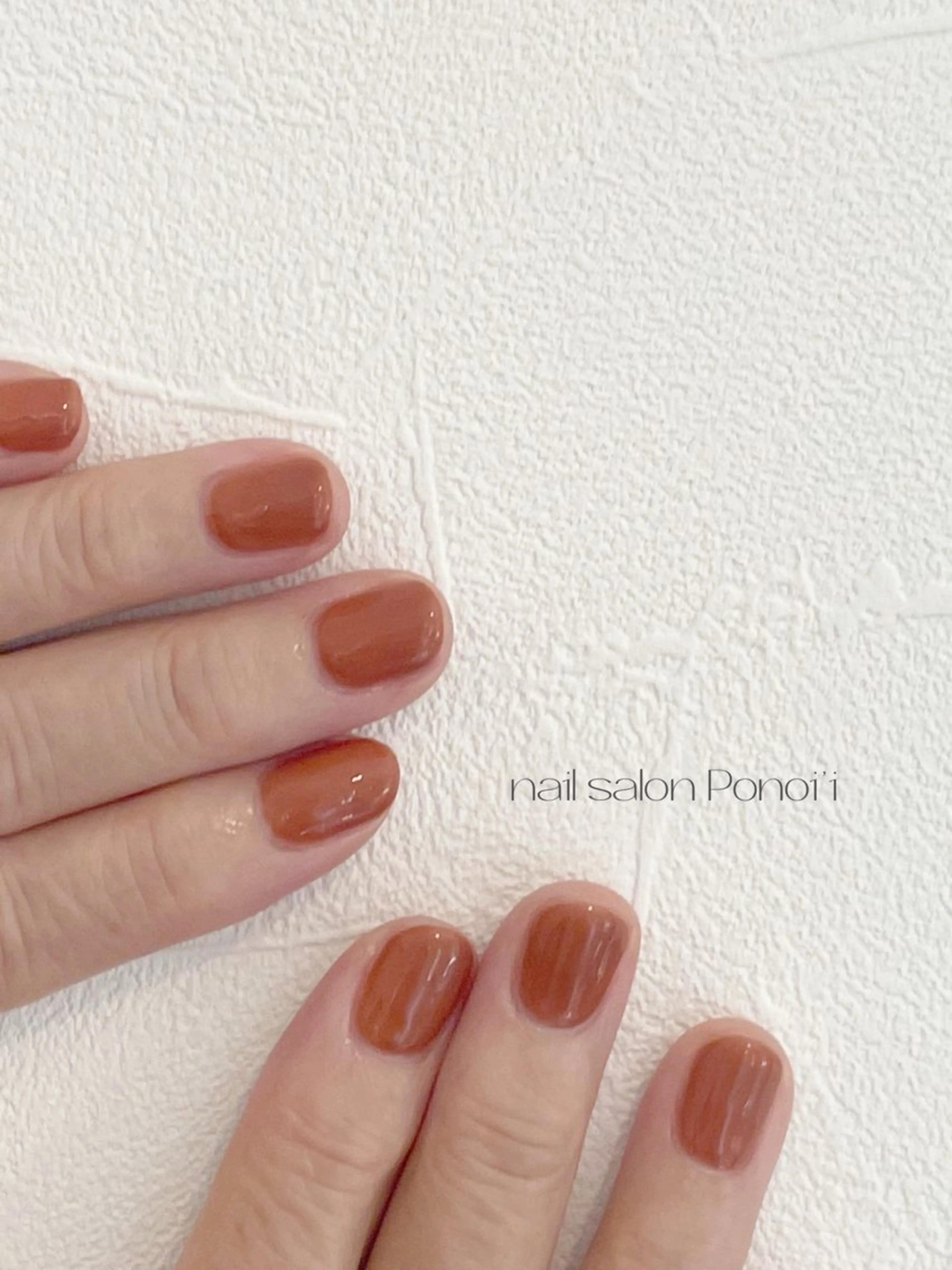 minimoご新規さま限定　one color   オフ込みの写真