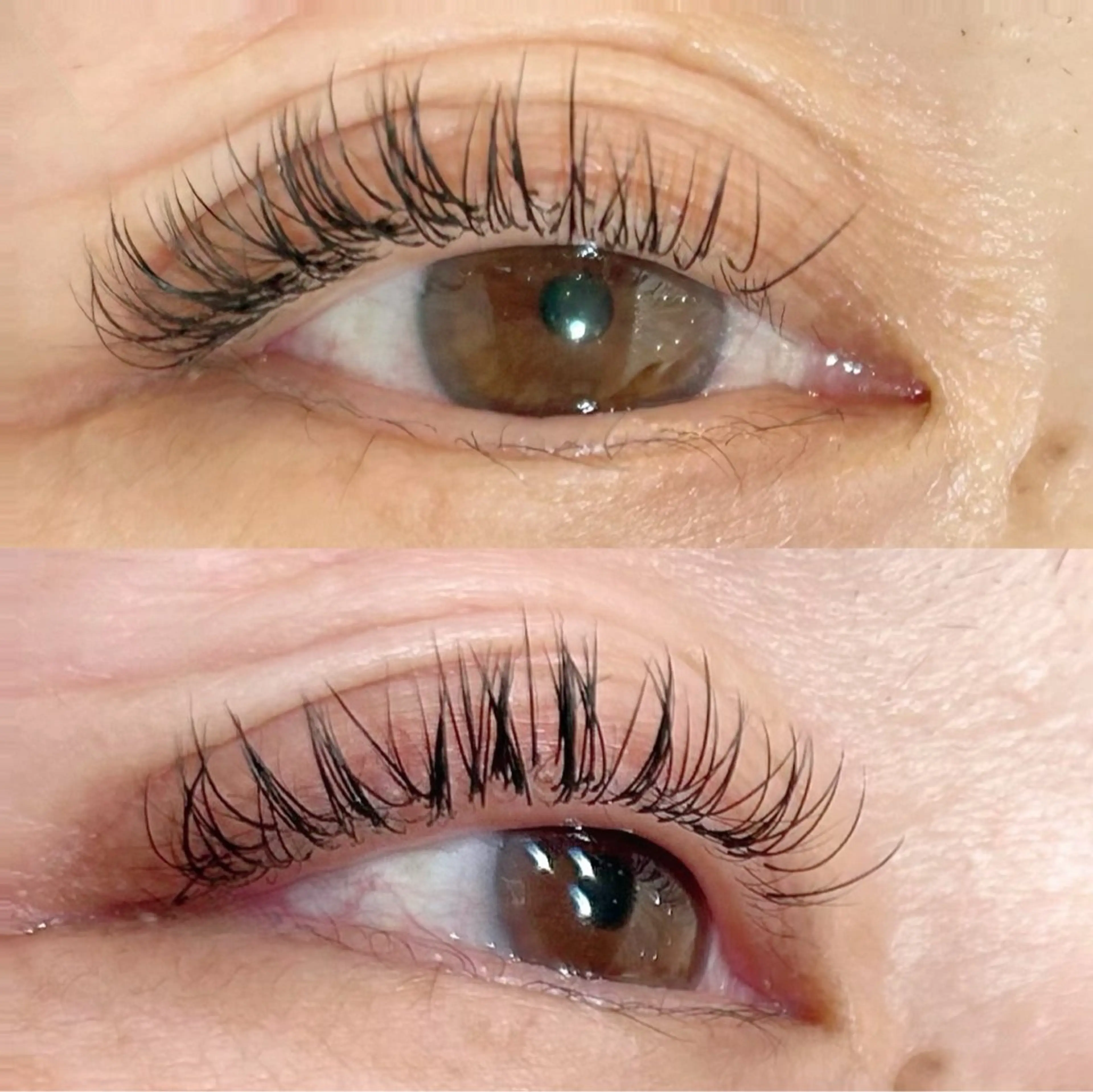 マツエク・マツパ KIMOTO 🐈‍⬛🤍のマツエク・マツパデザイン