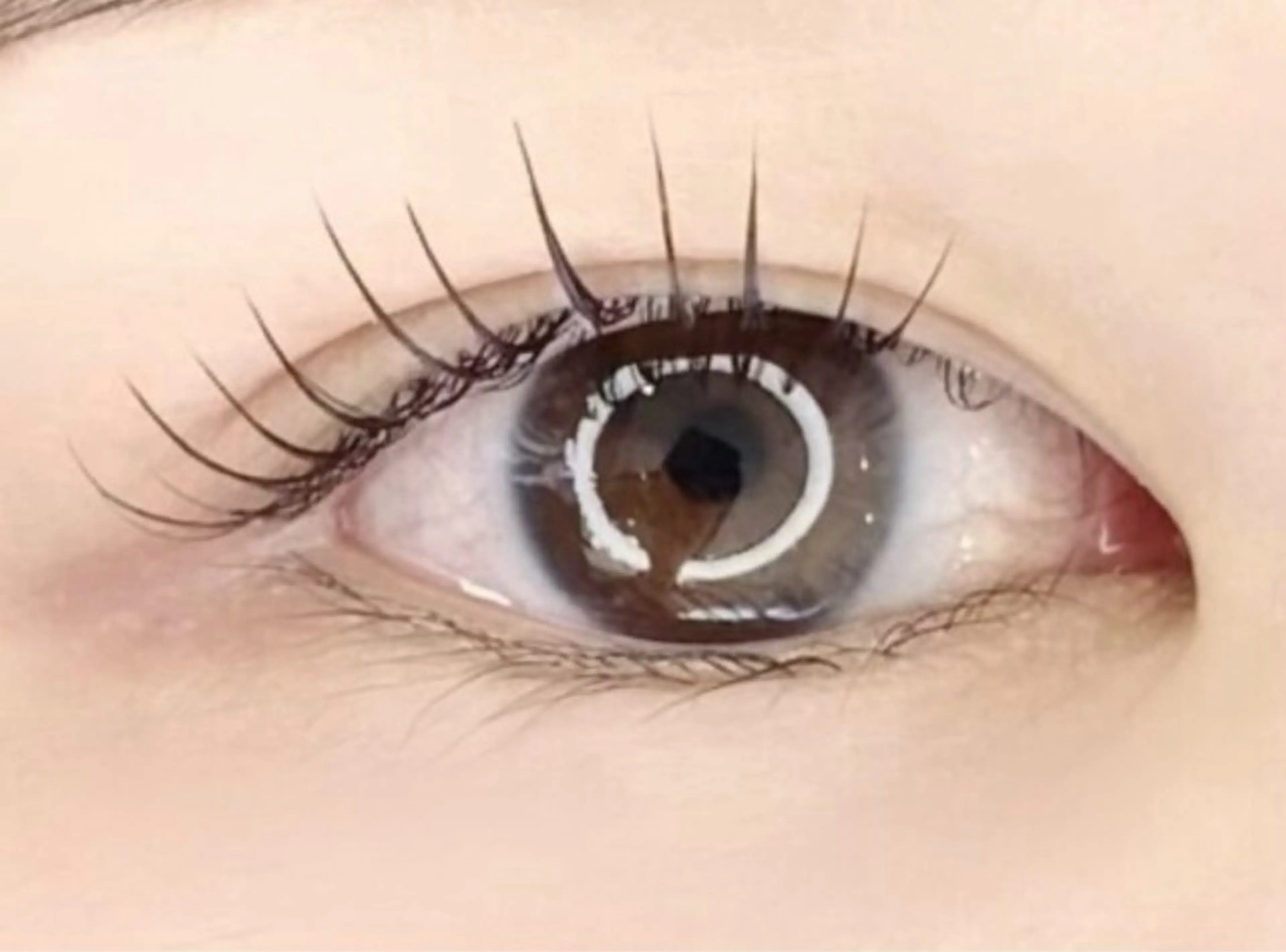 【話題沸騰！湿度や汗に滲まない☆】ラッシュリフト+マスカラパーマの写真