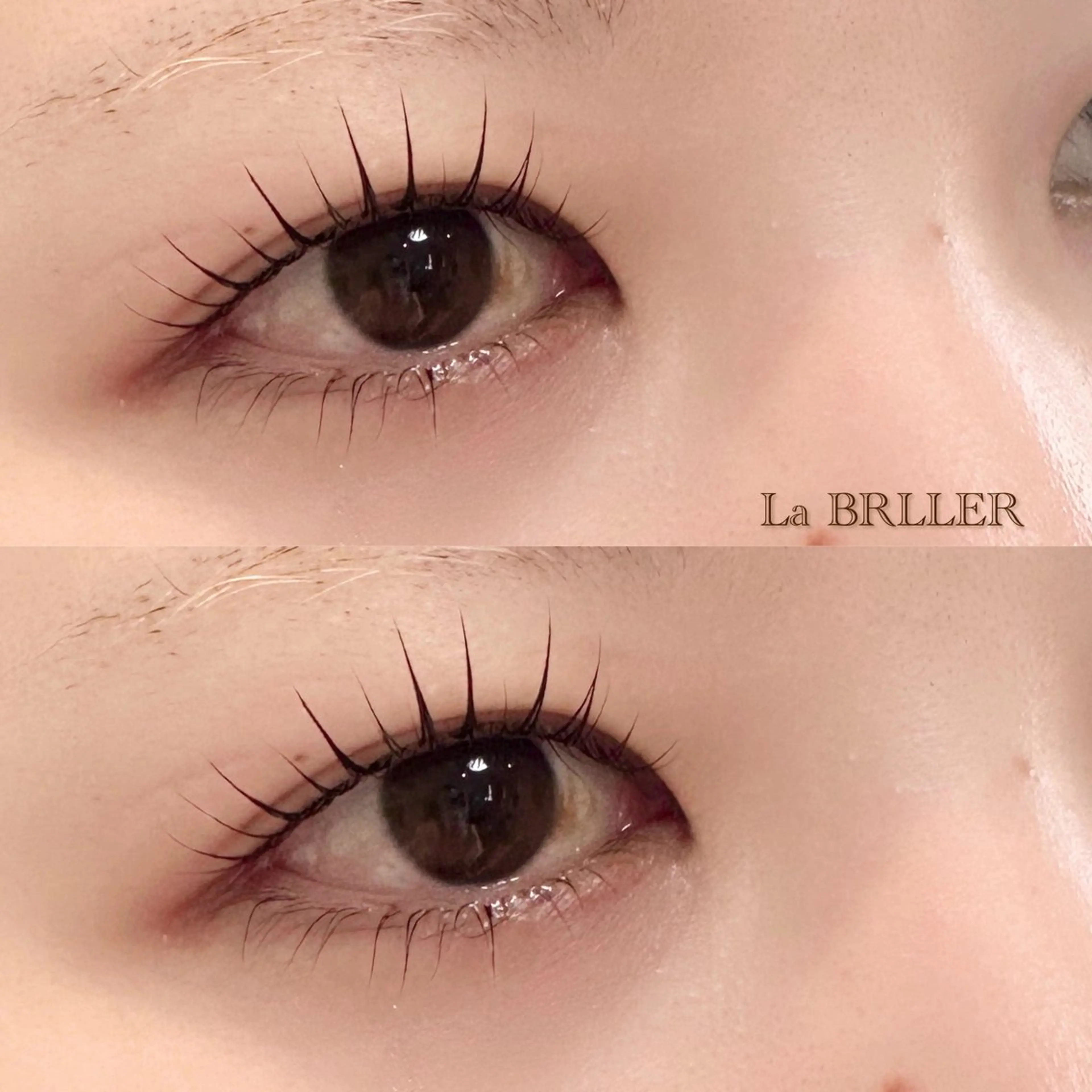 ラッシュリフト上下✨セットメニュー🧚🏻‍♀️の写真