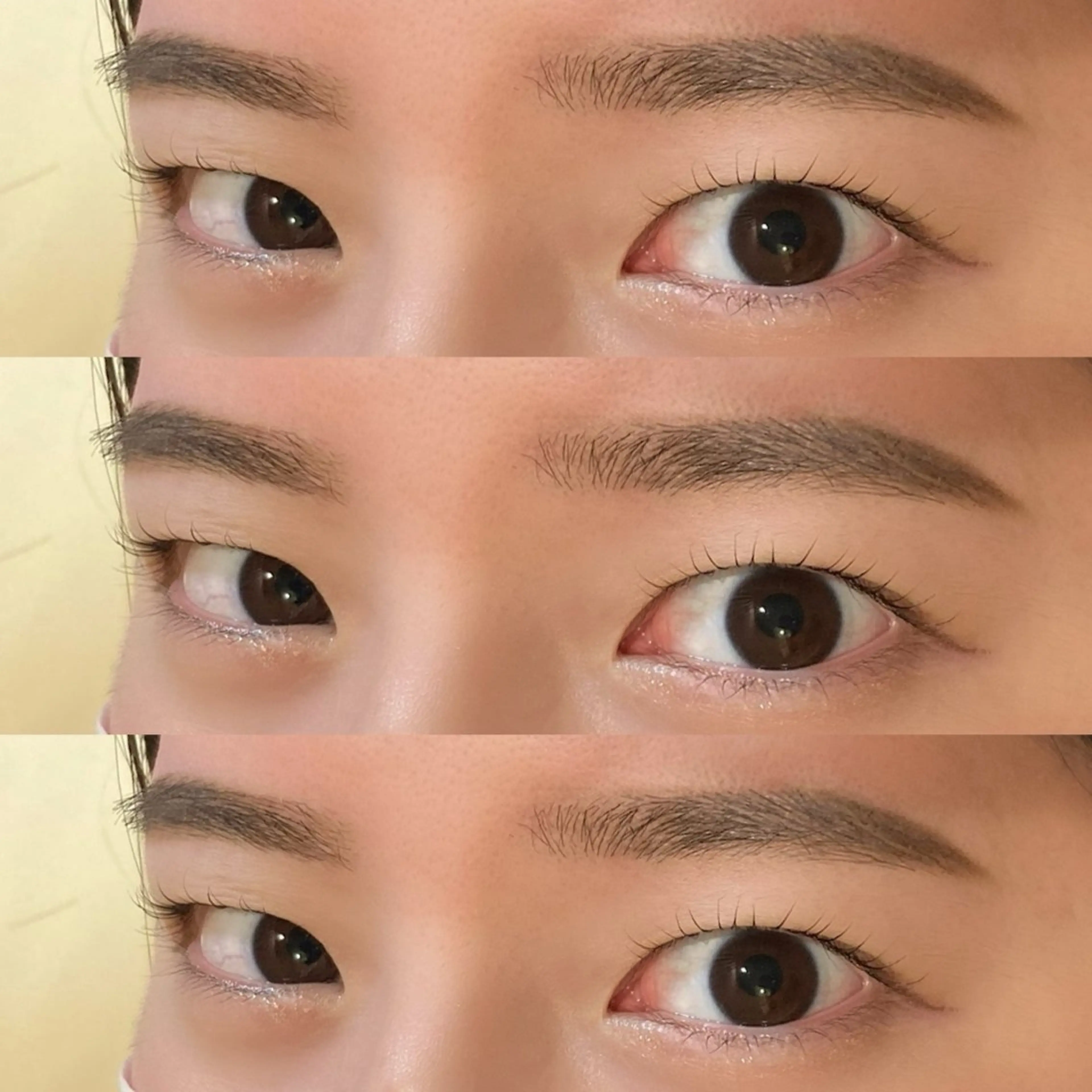 ã¢ã€ãã㊠ããã oriharað ãŸã€ãããŒã/çæ¯ã®ãããšã¯ã»ããããã¶ã€ã³