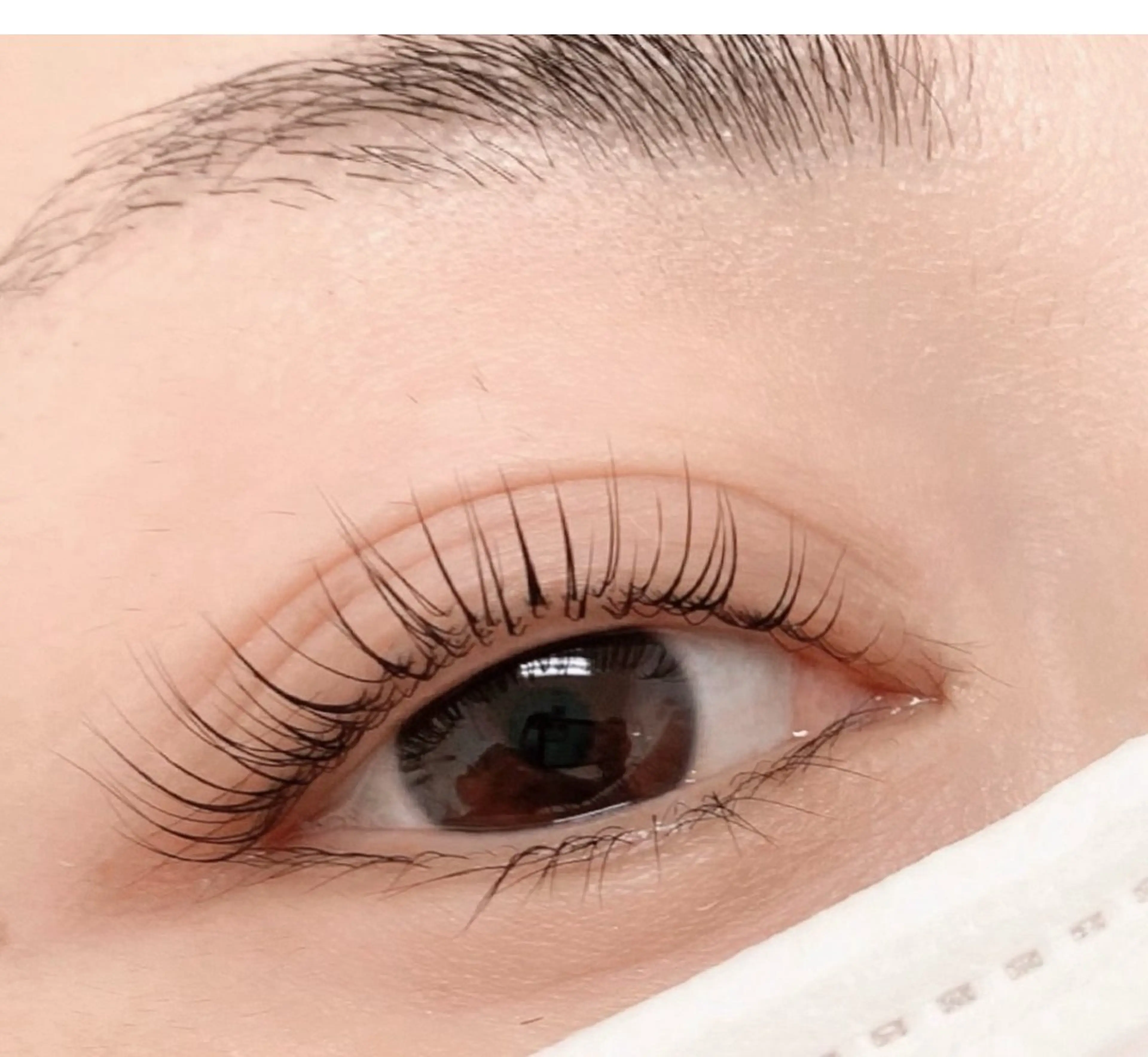 マツエク・マツパ ROWL total beauty salon所属・ROWL YUKARIのマツエク・マツパデザイン