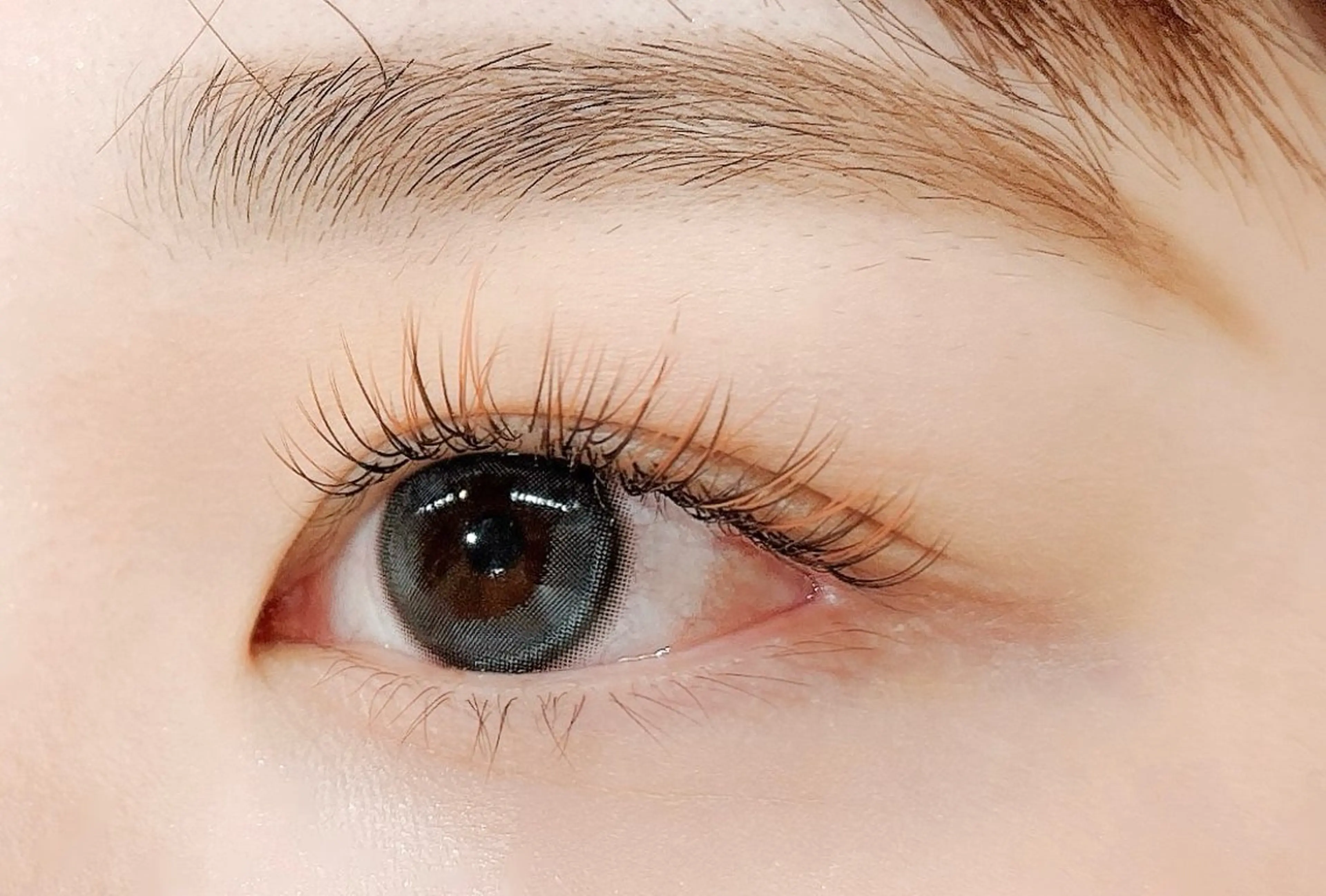 マツエク・マツパ カラーマツエク マツエク Aprilush🦋 Cieloのマツエク・マツパデザイン