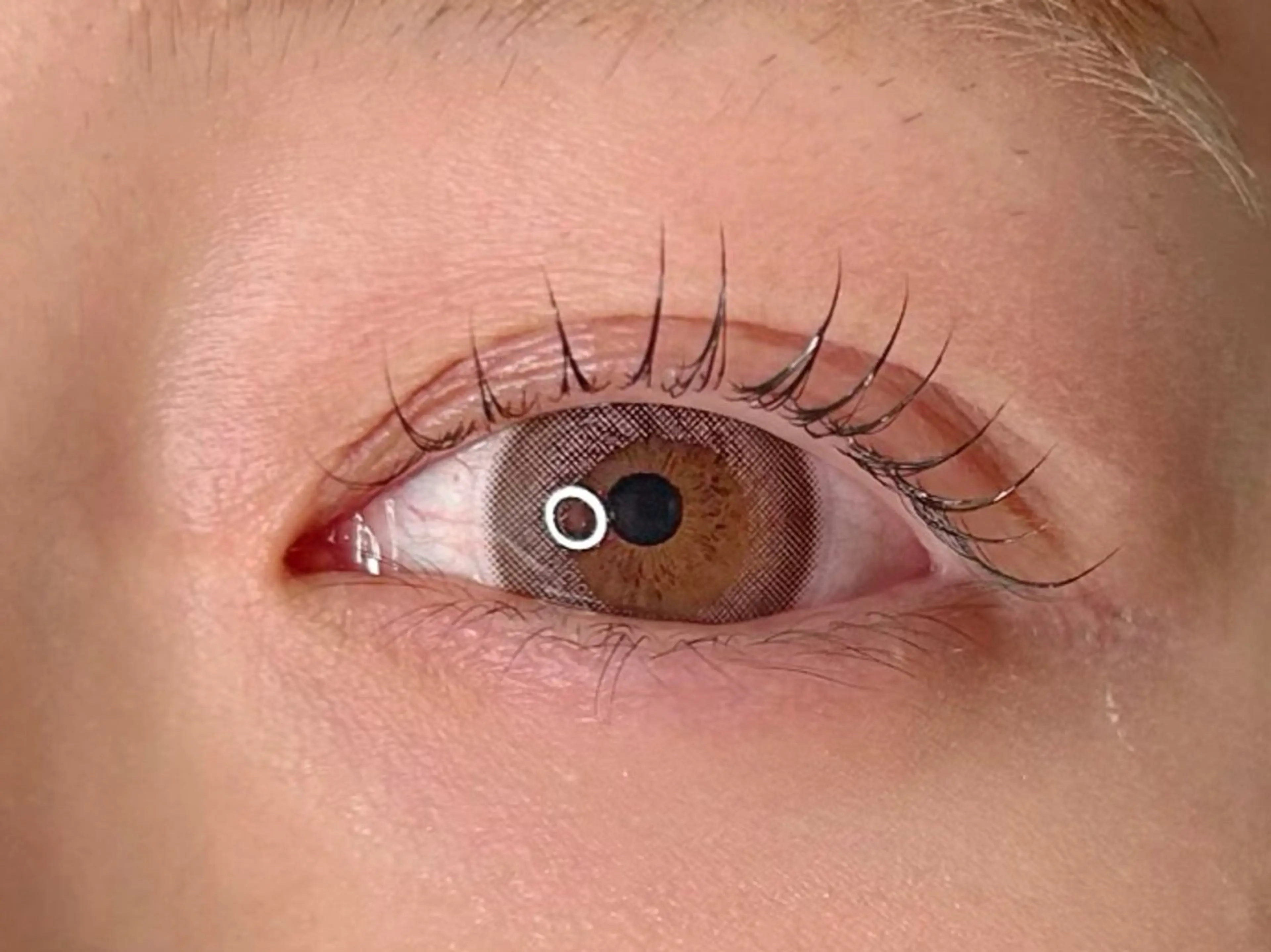 マツエク・マツパ マツパ elua eyelashの眉毛・アイブロウイメージ